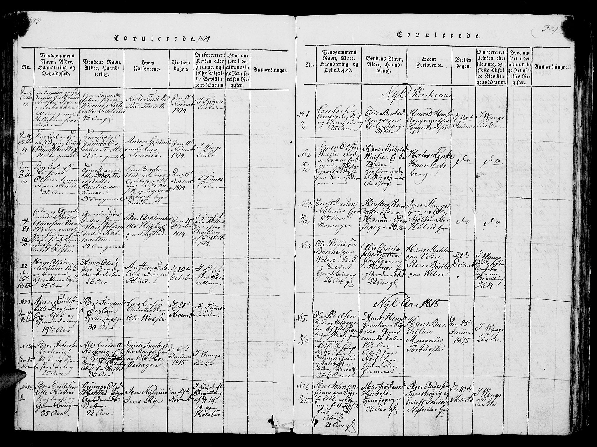 Vang prestekontor, Hedmark, SAH/PREST-008/H/Ha/Hab/L0004: Parish register (copy) no. 4, 1813-1827, p. 393-394
