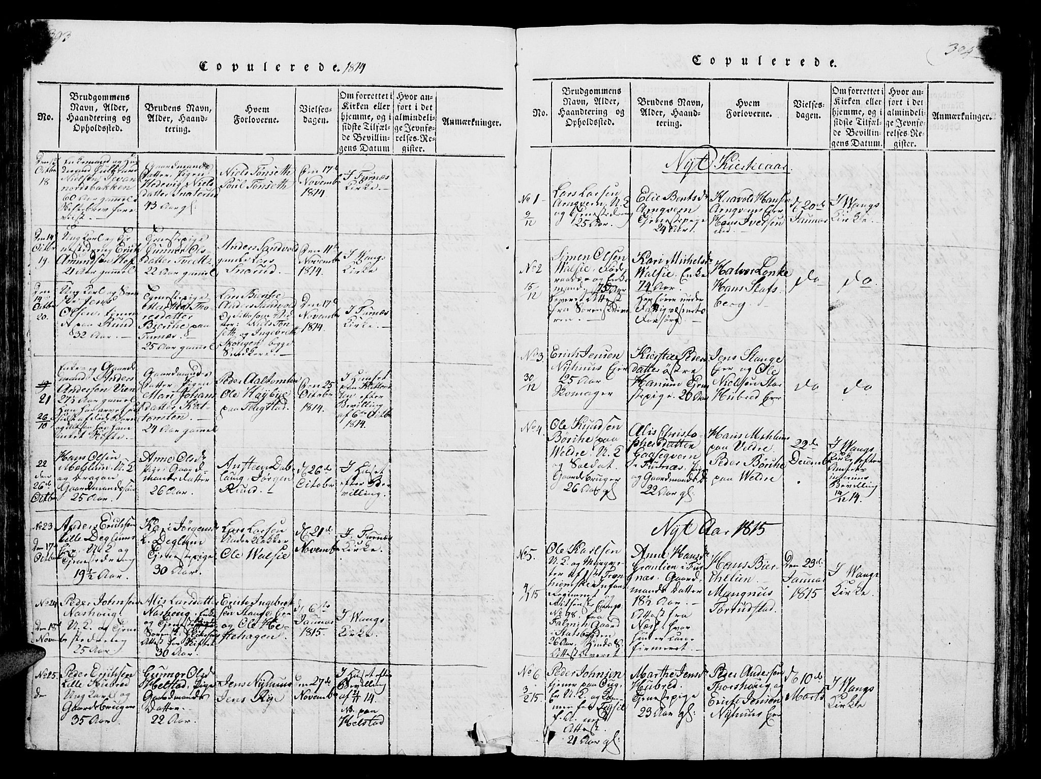 Vang prestekontor, Hedmark, AV/SAH-PREST-008/H/Ha/Hab/L0004: Parish register (copy) no. 4, 1813-1827, p. 393-394