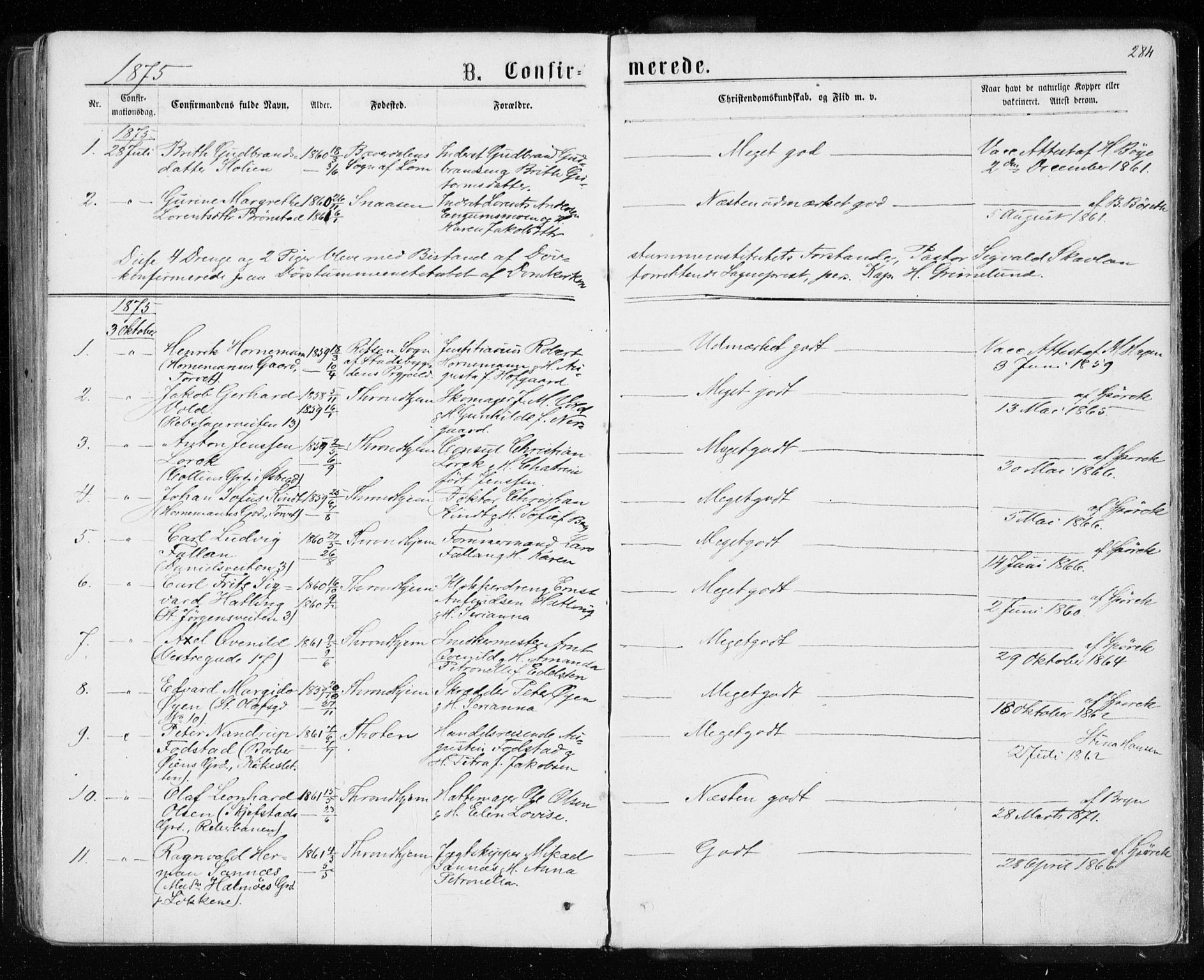 Ministerialprotokoller, klokkerbøker og fødselsregistre - Sør-Trøndelag, SAT/A-1456/601/L0054: Parish register (official) no. 601A22, 1866-1877, p. 284