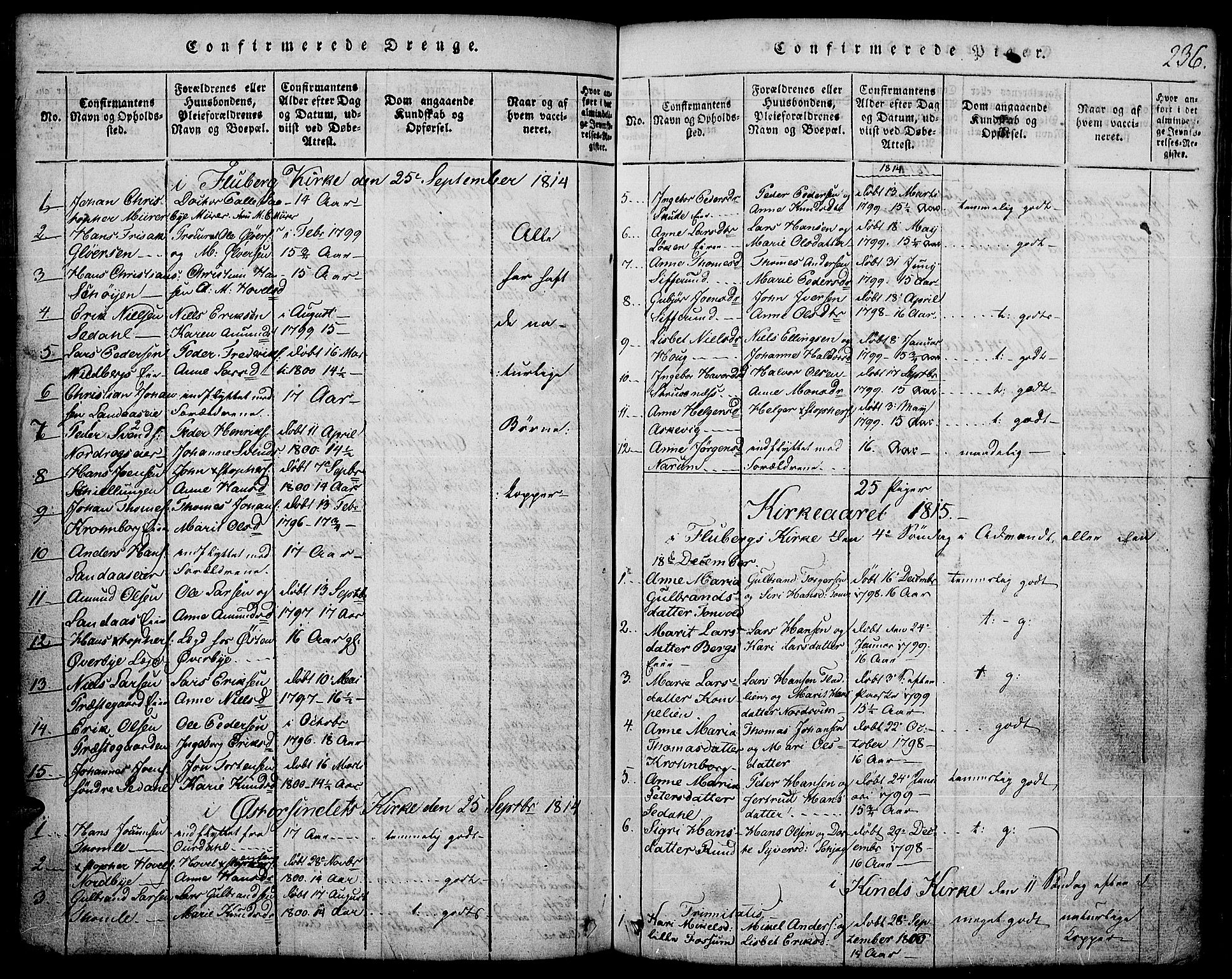Land prestekontor, SAH/PREST-120/H/Ha/Hab/L0001: Parish register (copy) no. 1, 1814-1833, p. 236