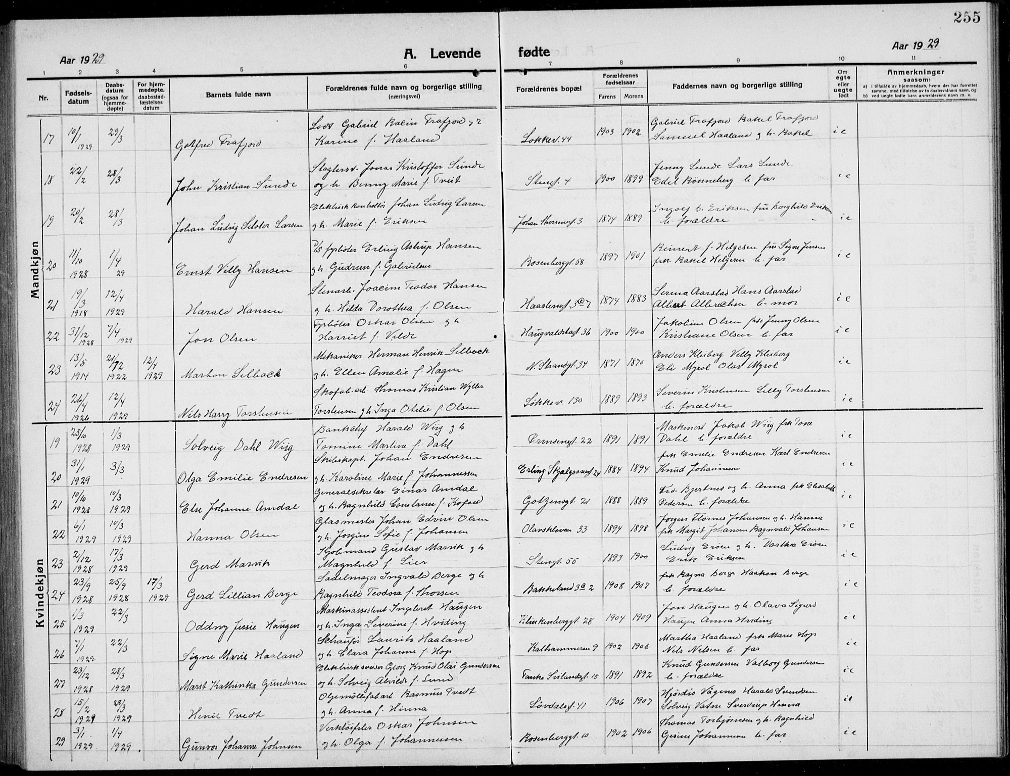 Domkirken sokneprestkontor, AV/SAST-A-101812/001/30/30BB/L0019: Parish register (copy) no. B 19, 1915-1932, p. 255