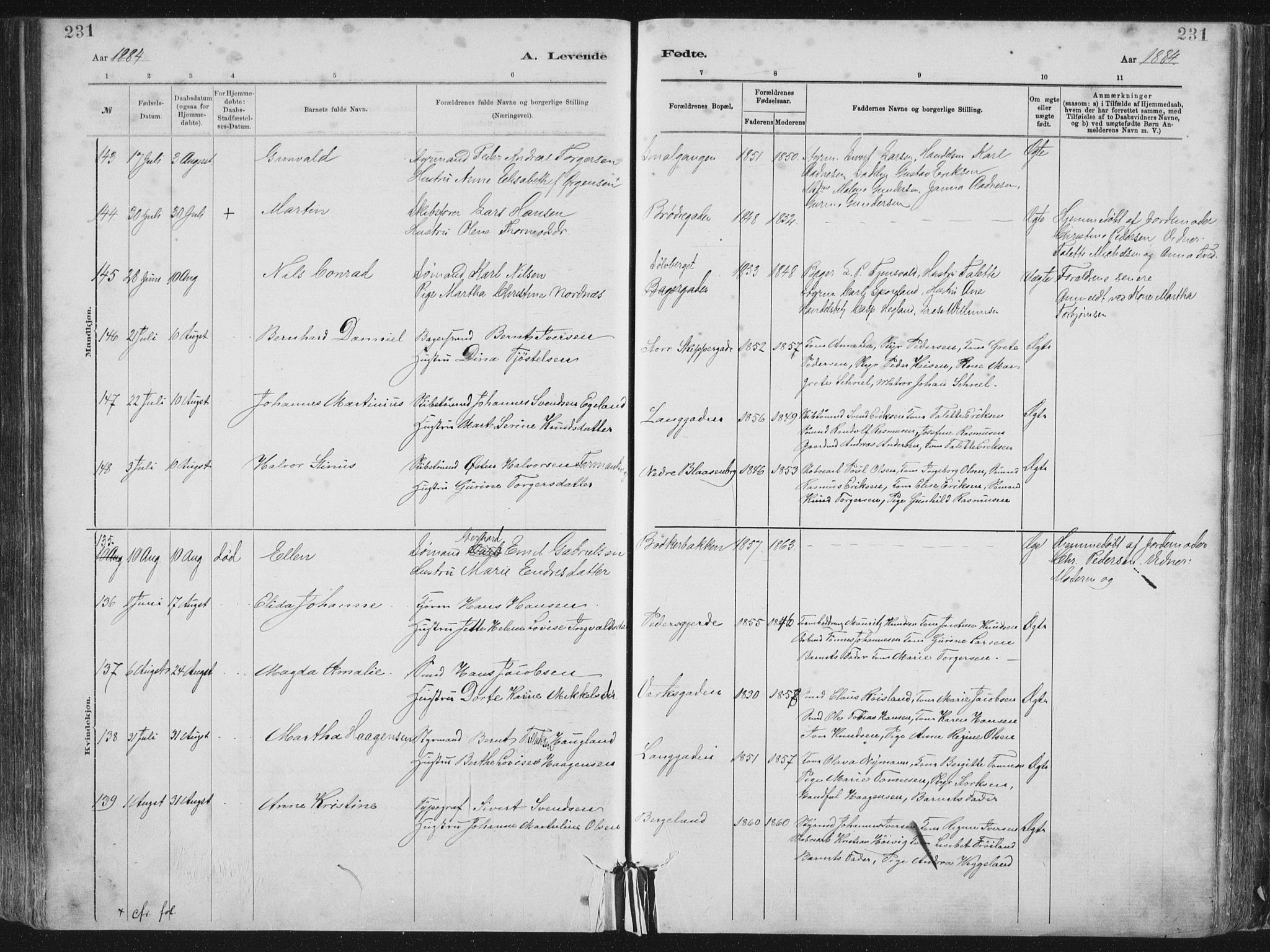 St. Petri sokneprestkontor, SAST/A-101813/001/30/30BA/L0015: Parish register (official) no. A 15, 1879-1888, p. 231