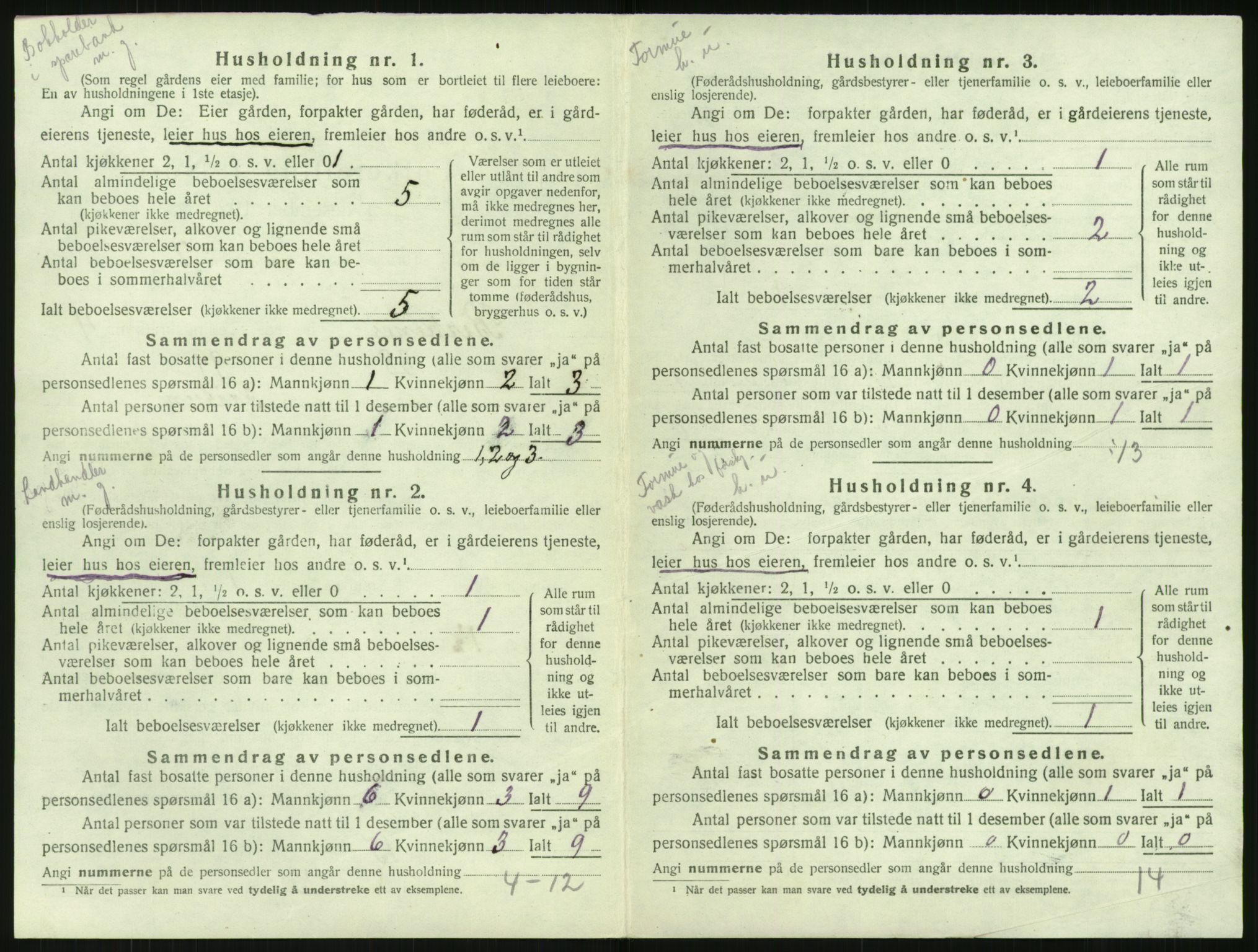 SAK, 1920 census for Birkenes, 1920, p. 260