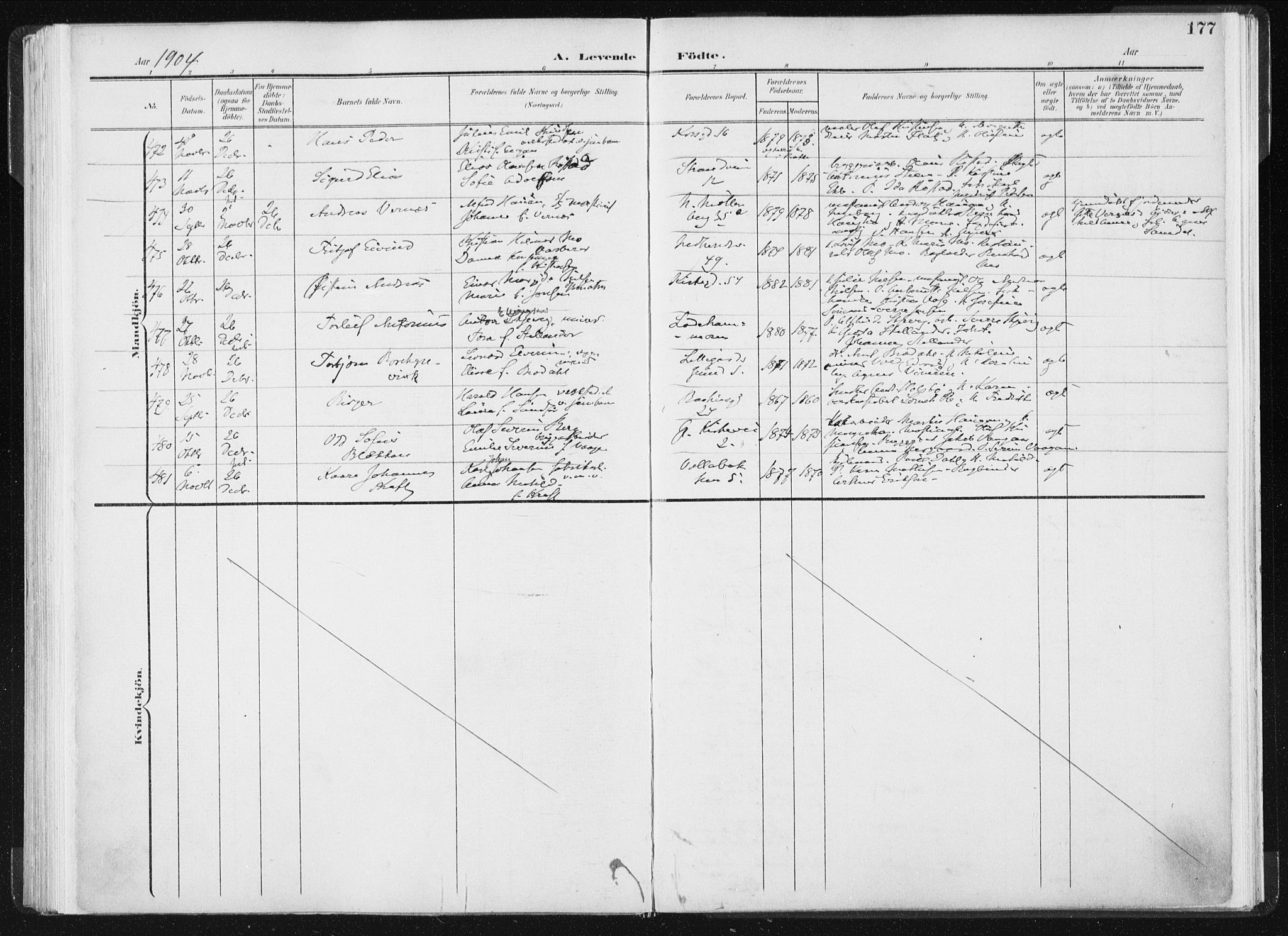 Ministerialprotokoller, klokkerbøker og fødselsregistre - Sør-Trøndelag, AV/SAT-A-1456/604/L0199: Parish register (official) no. 604A20I, 1901-1906, p. 177