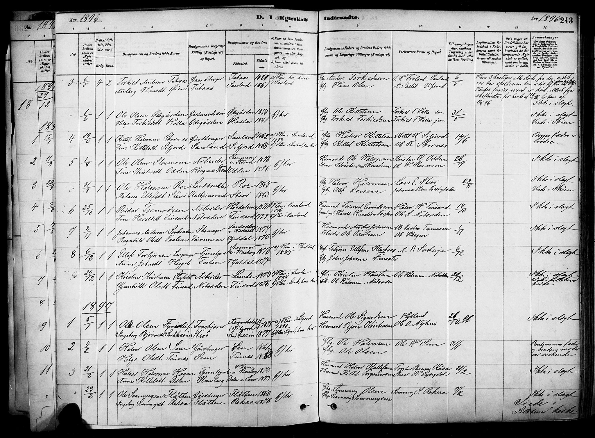Heddal kirkebøker, SAKO/A-268/F/Fa/L0008: Parish register (official) no. I 8, 1878-1903, p. 243