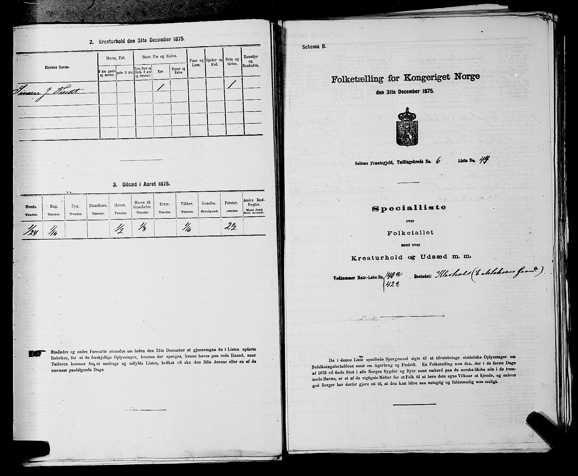 SAKO, 1875 census for 0818P Solum, 1875, p. 1078