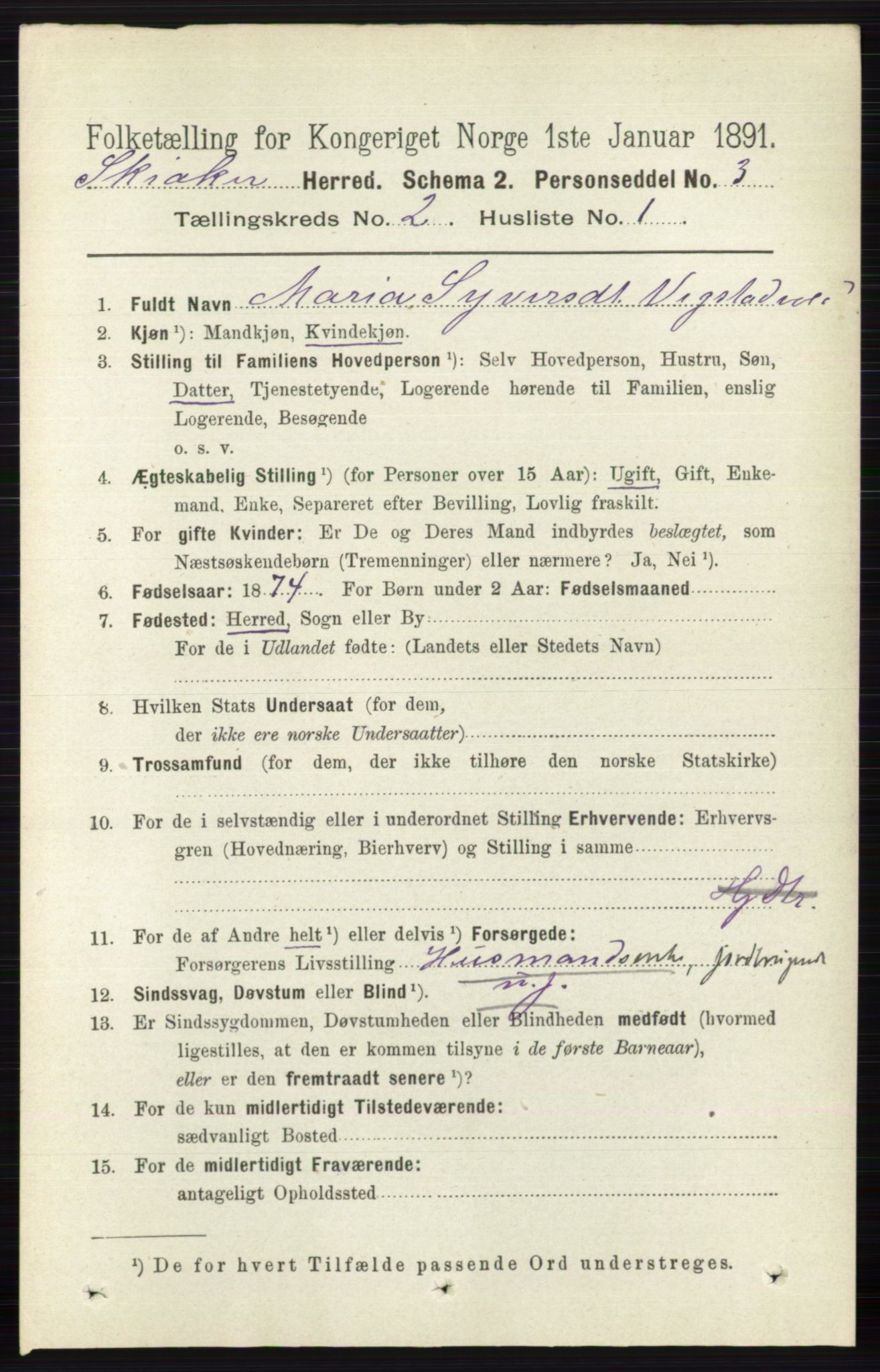 RA, 1891 census for 0513 Skjåk, 1891, p. 540