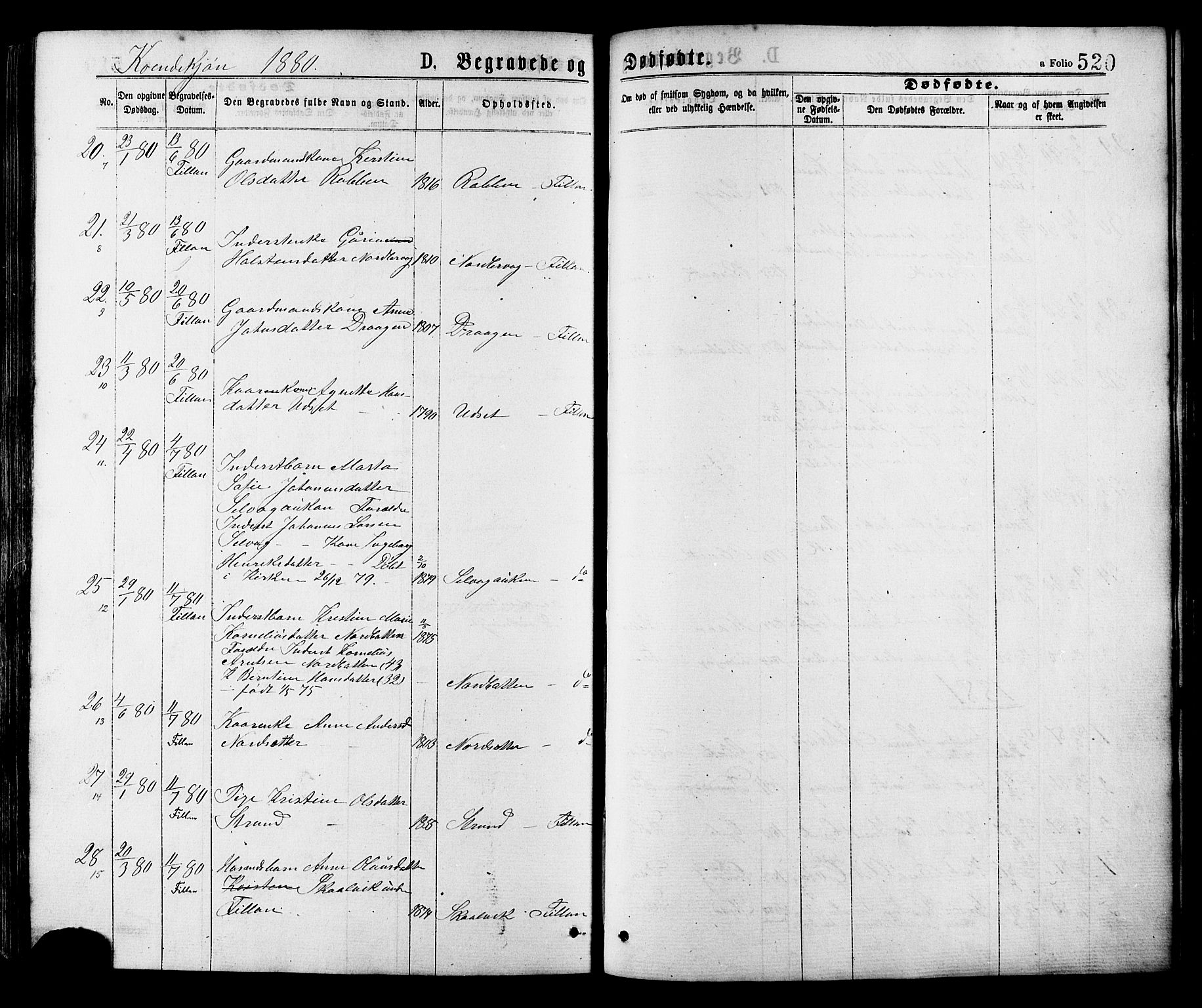 Ministerialprotokoller, klokkerbøker og fødselsregistre - Sør-Trøndelag, AV/SAT-A-1456/634/L0532: Parish register (official) no. 634A08, 1871-1881, p. 520