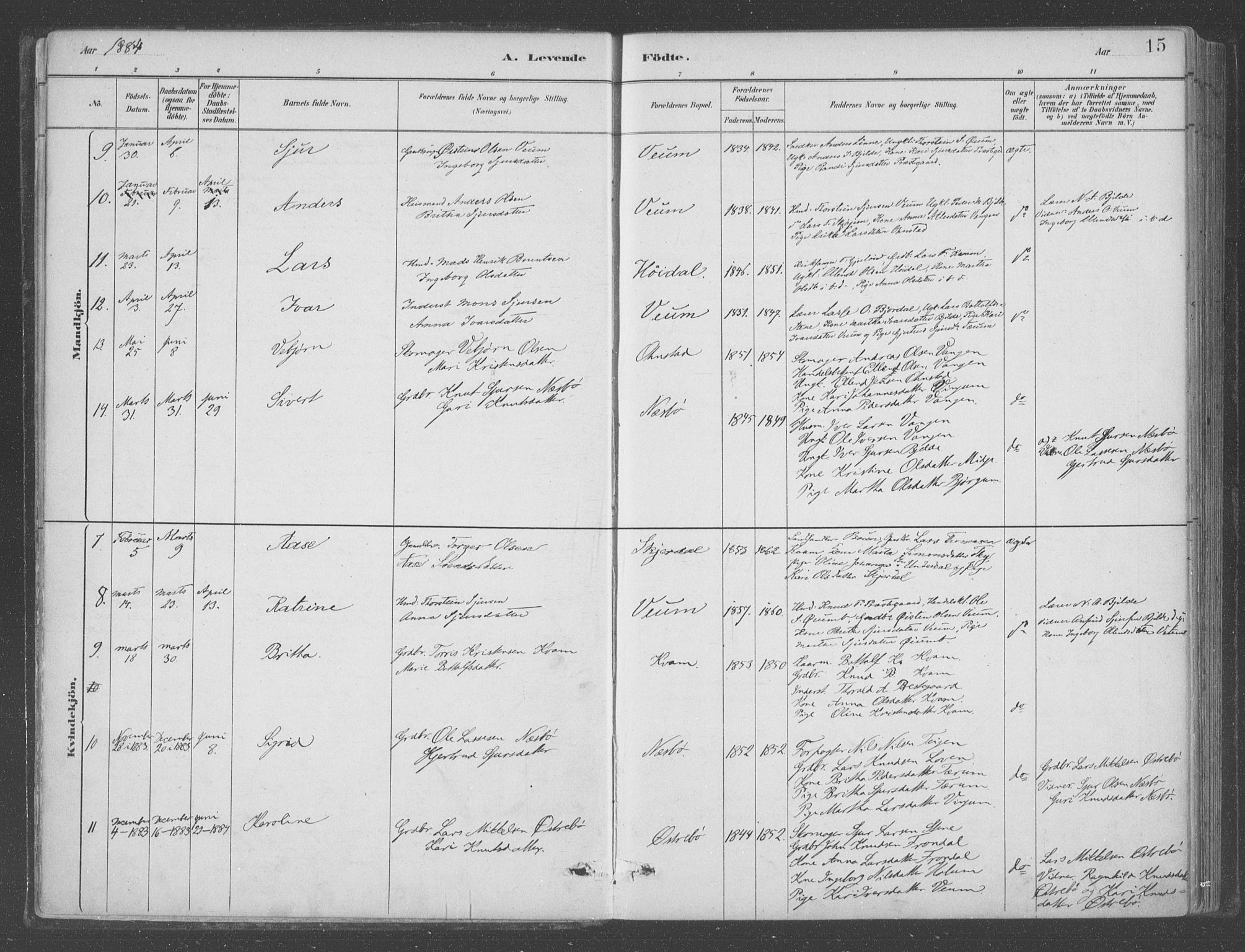 Aurland sokneprestembete, SAB/A-99937/H/Ha/Hab/L0001: Parish register (official) no. B  1, 1880-1909, p. 15