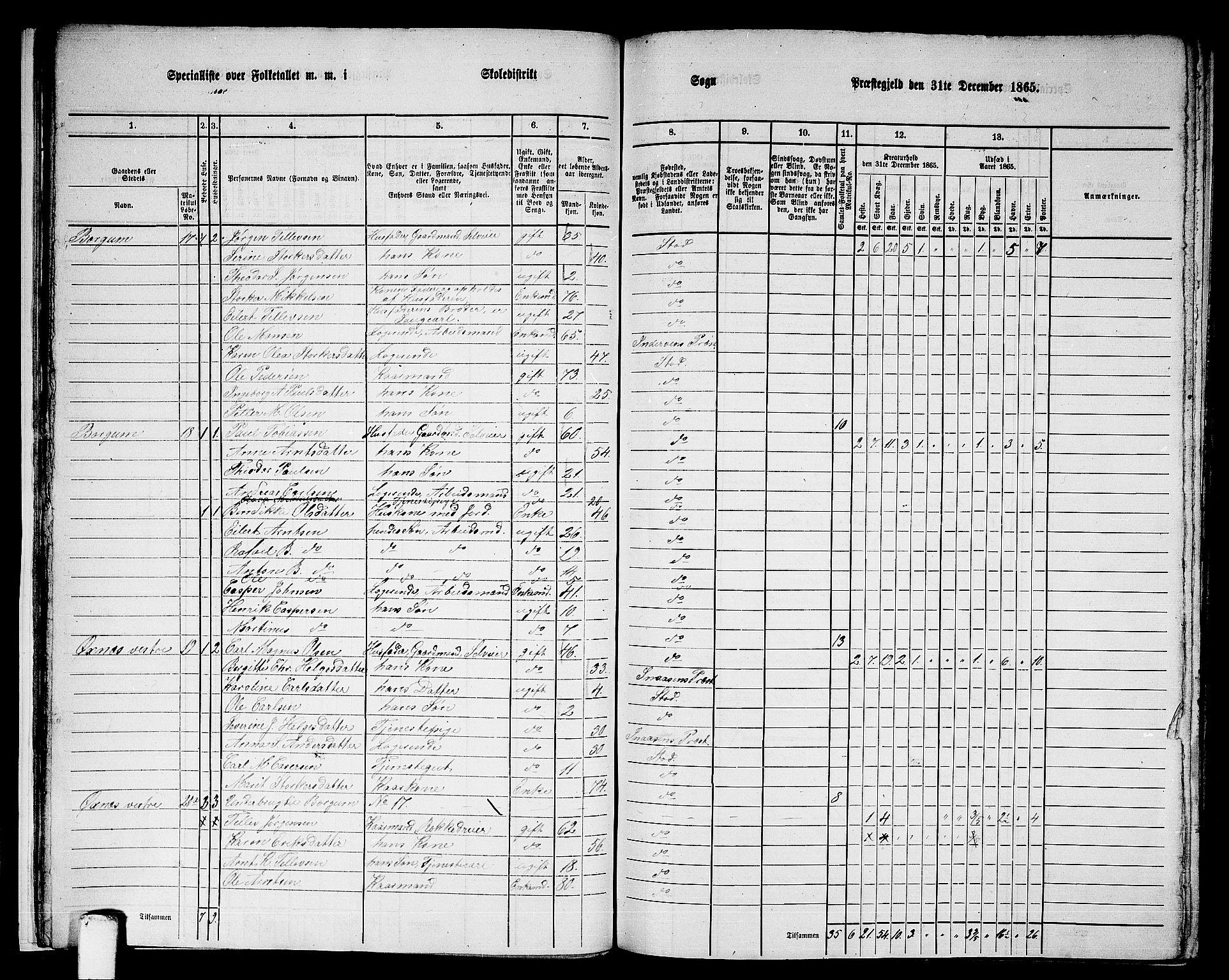 RA, 1865 census for Stod, 1865, p. 20