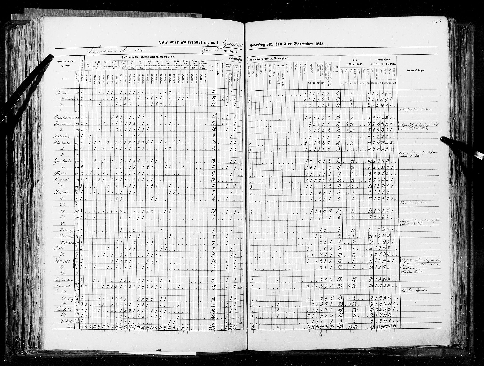 RA, Census 1845, vol. 5: Bratsberg amt og Nedenes og Råbyggelaget amt, 1845, p. 226