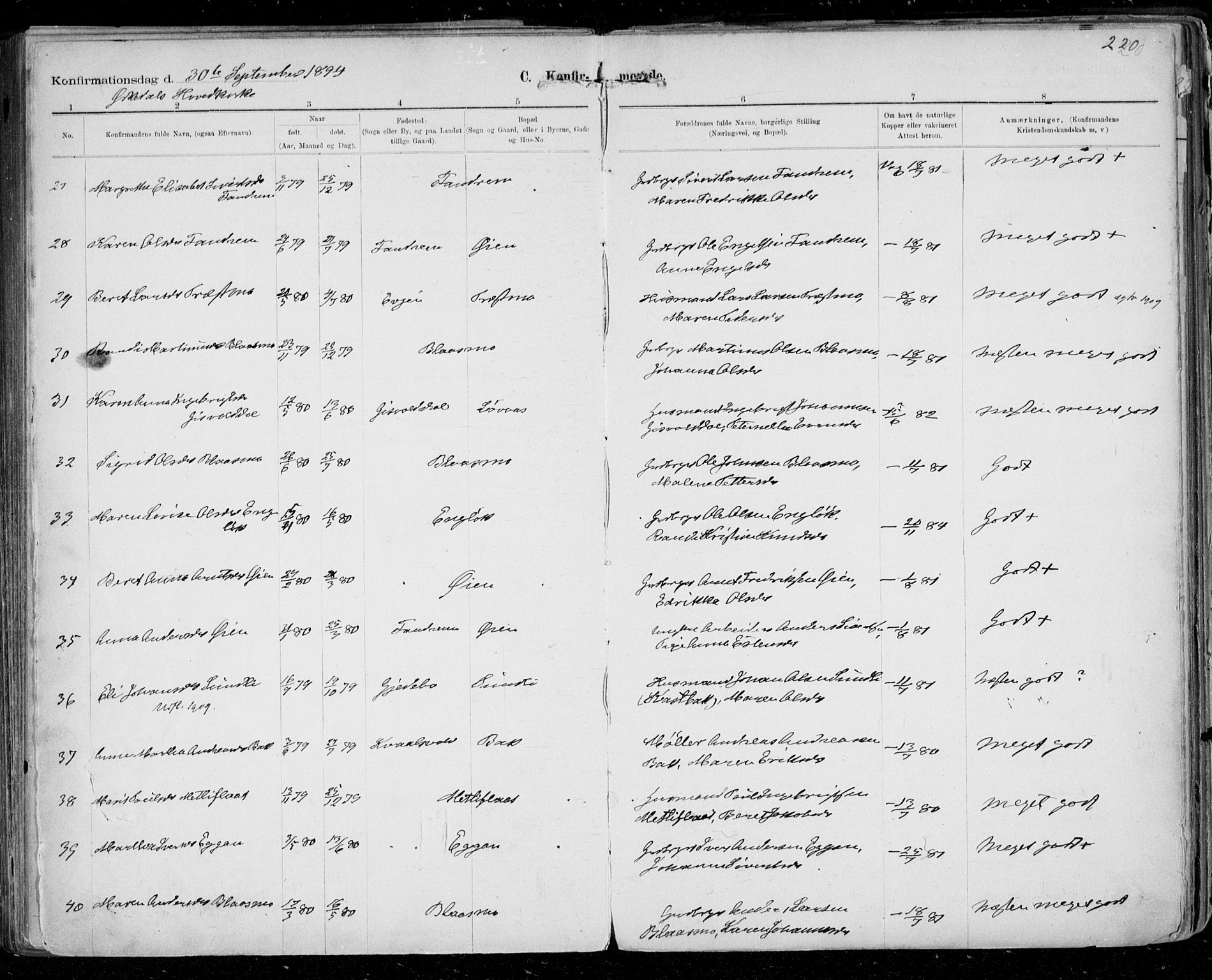 Ministerialprotokoller, klokkerbøker og fødselsregistre - Sør-Trøndelag, SAT/A-1456/668/L0811: Parish register (official) no. 668A11, 1894-1913, p. 220
