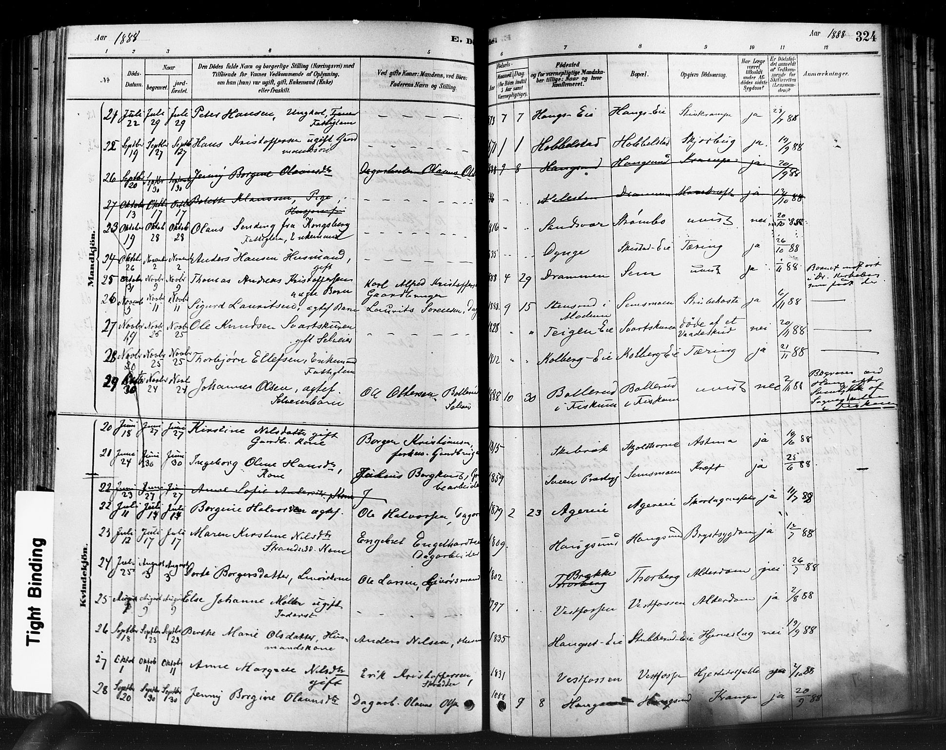 Eiker kirkebøker, SAKO/A-4/F/Fb/L0001: Parish register (official) no. II 1, 1878-1888, p. 324