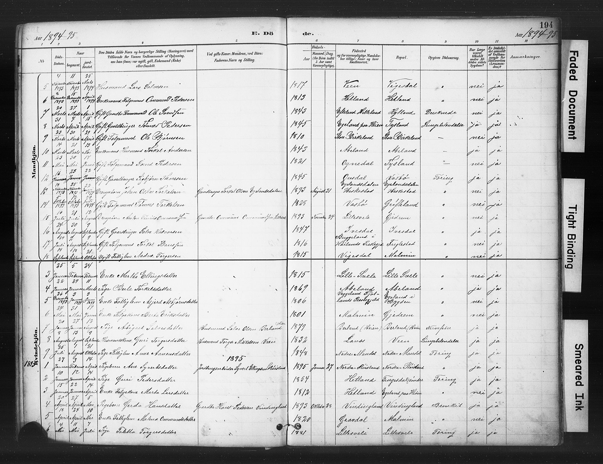 Helleland sokneprestkontor, AV/SAST-A-101810: Parish register (copy) no. B 5, 1887-1908, p. 194