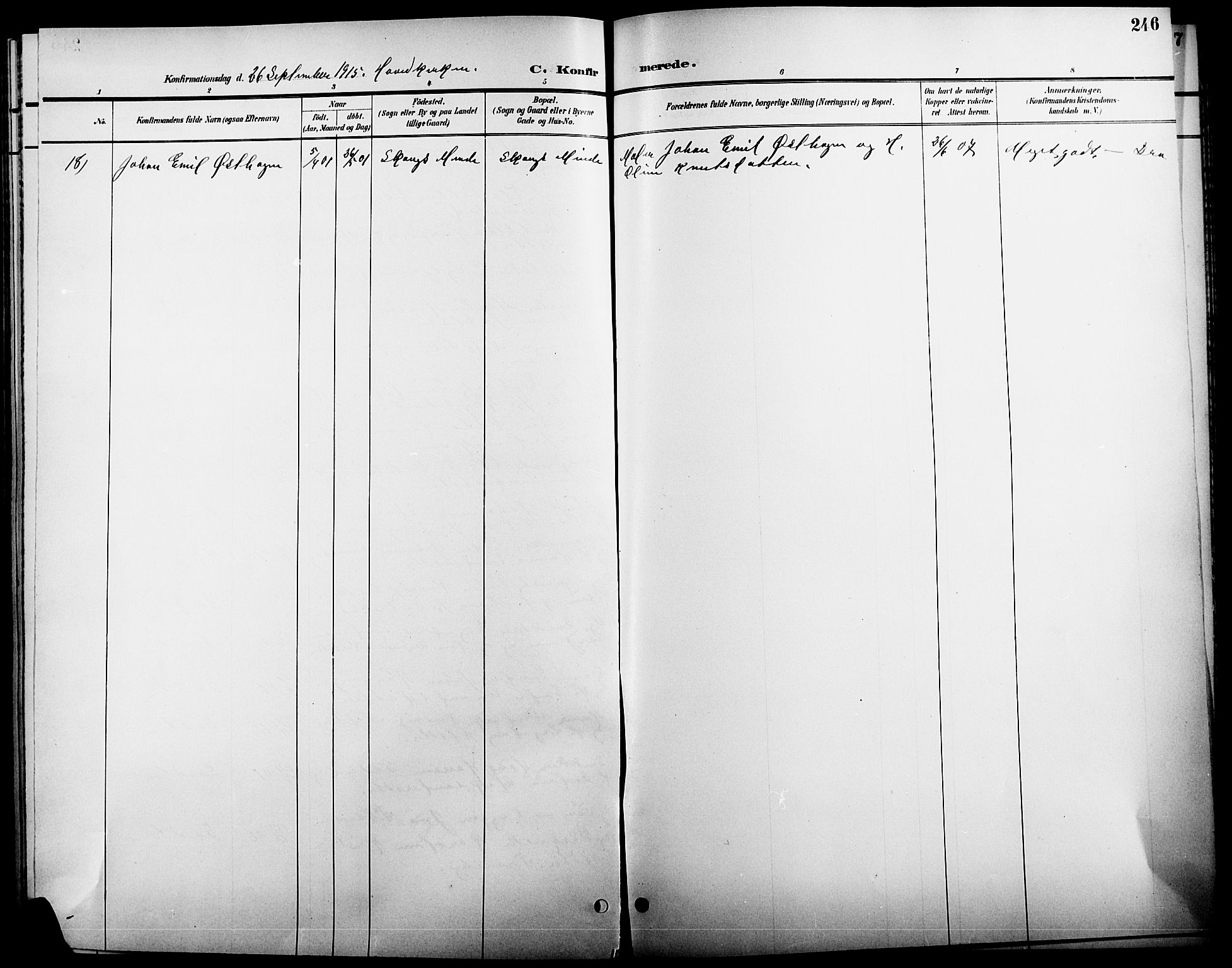 Elverum prestekontor, AV/SAH-PREST-044/H/Ha/Hab/L0005: Parish register (copy) no. 5, 1896-1915, p. 246