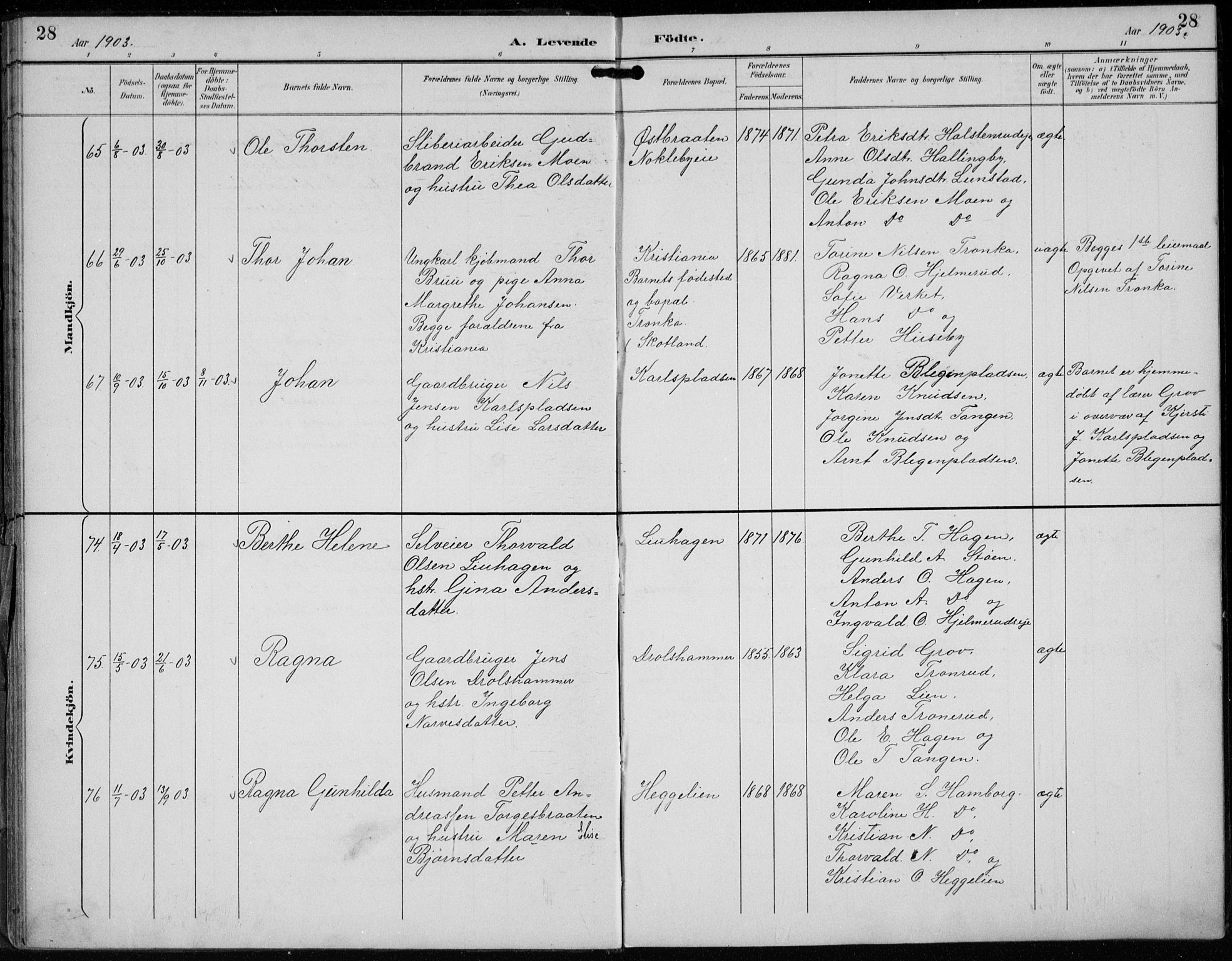 Lunder kirkebøker, AV/SAKO-A-629/F/Fb/L0001: Parish register (official) no. II 1, 1893-1916, p. 28