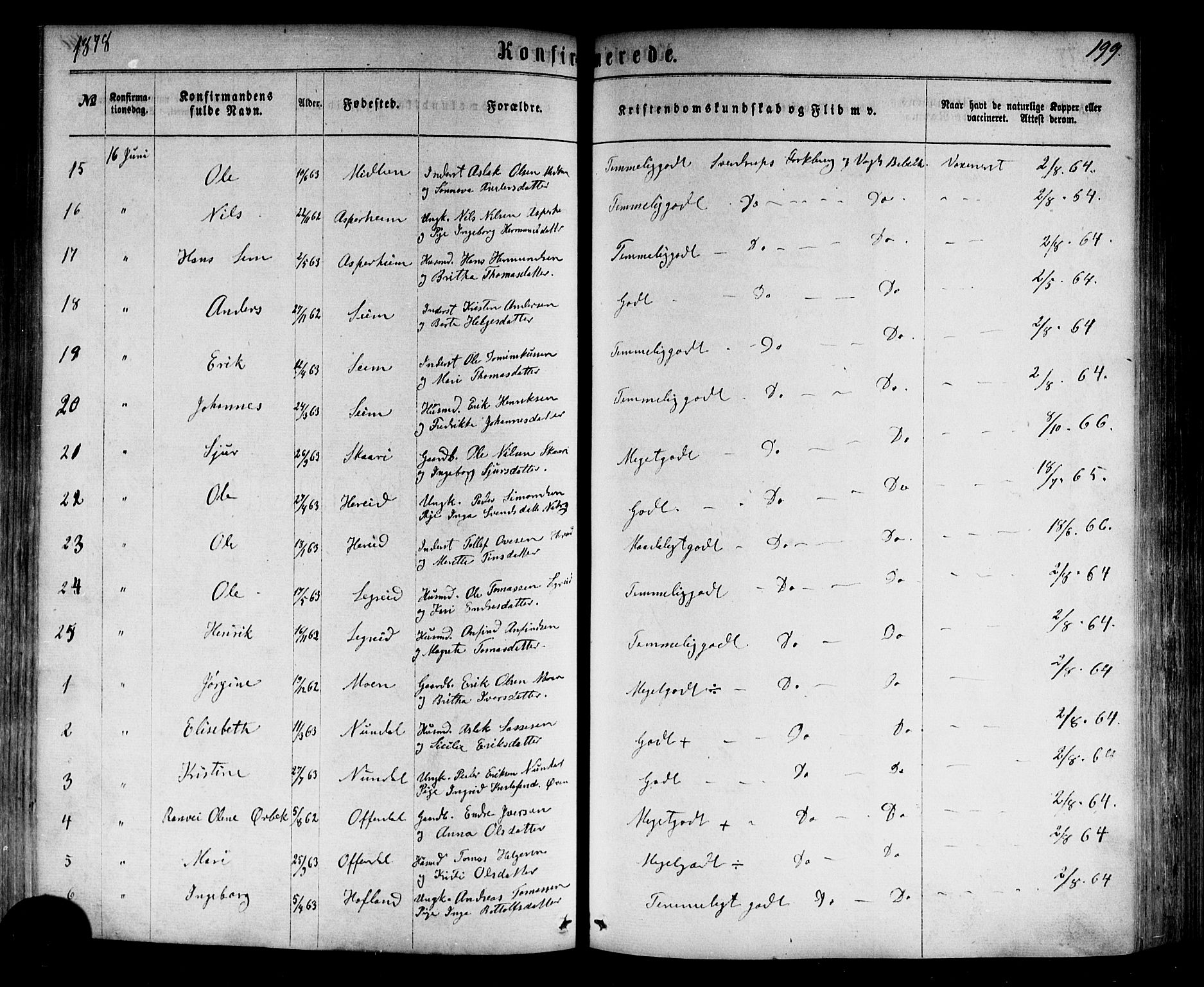 Årdal sokneprestembete, SAB/A-81701: Parish register (official) no. A 3, 1863-1886, p. 199