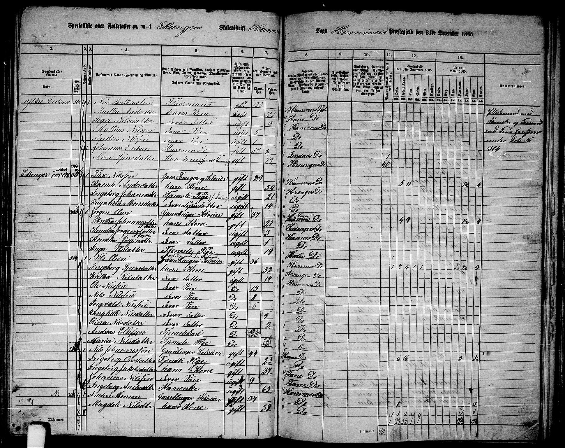RA, 1865 census for Hamre, 1865, p. 117