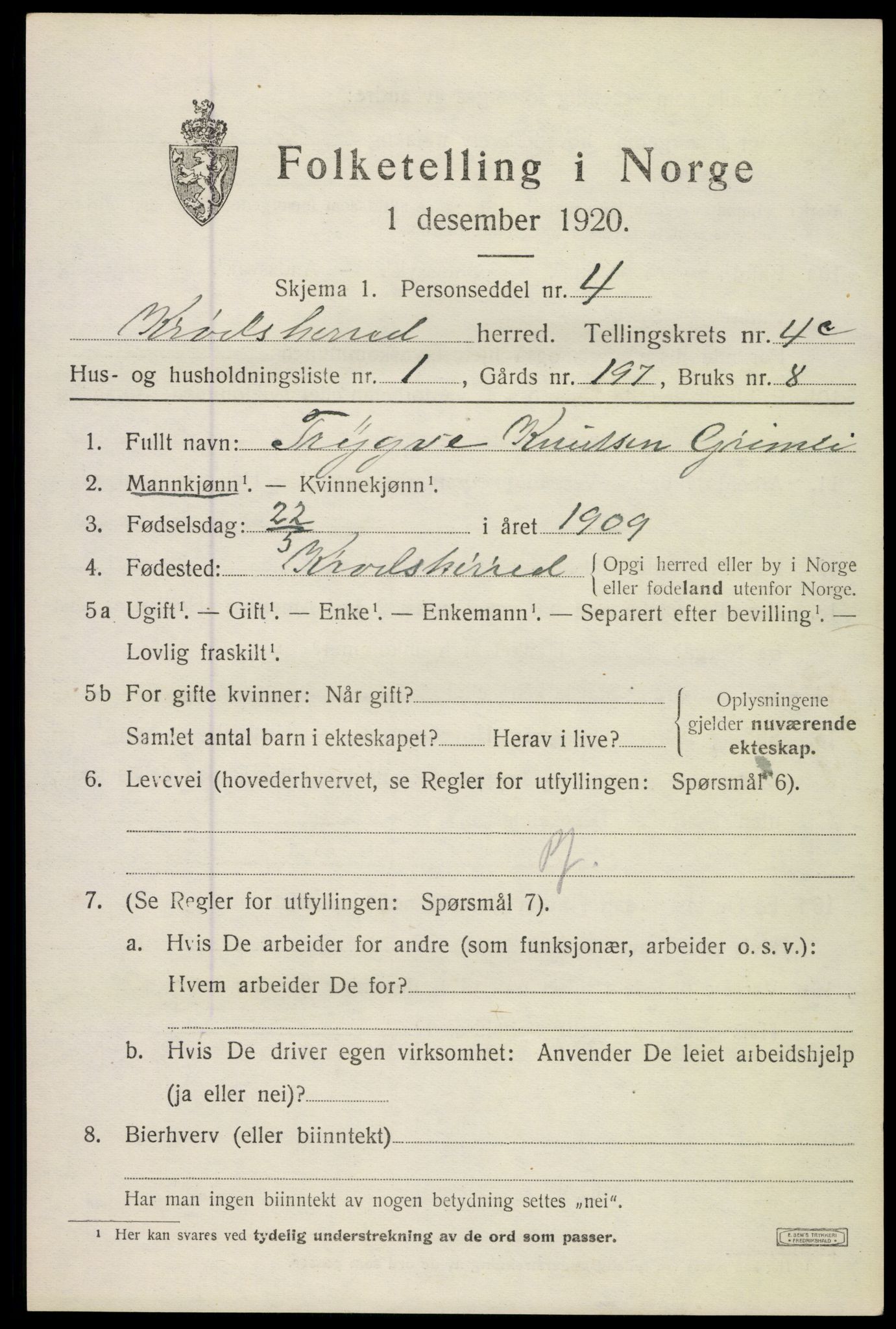 SAKO, 1920 census for Krødsherad, 1920, p. 5241