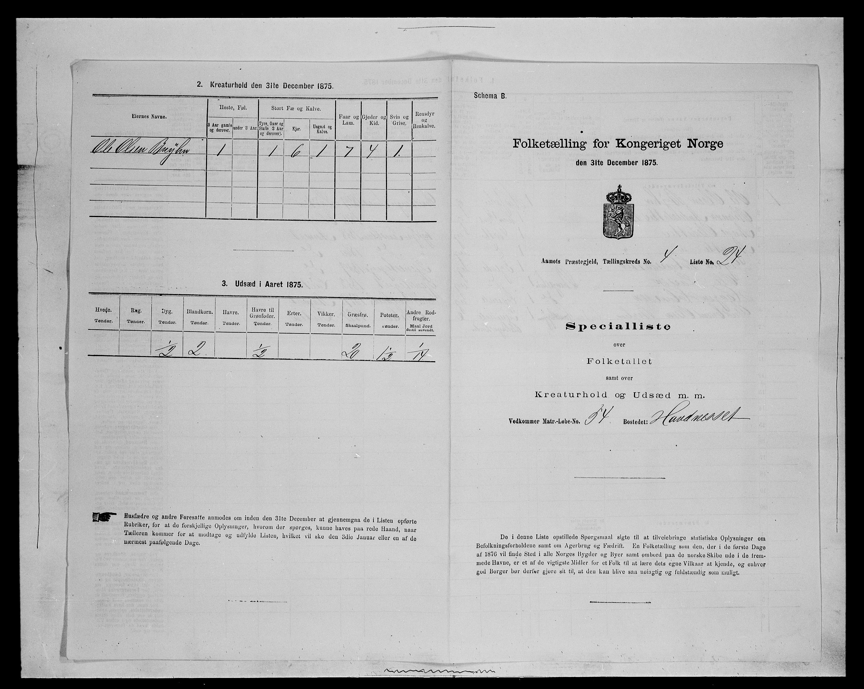 SAH, 1875 census for 0429P Åmot, 1875, p. 724