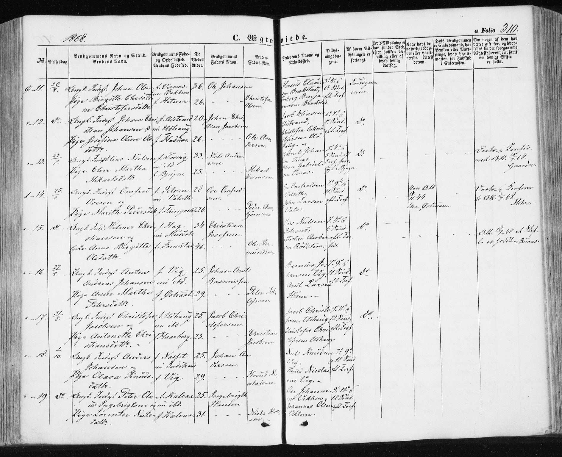 Ministerialprotokoller, klokkerbøker og fødselsregistre - Sør-Trøndelag, SAT/A-1456/659/L0737: Parish register (official) no. 659A07, 1857-1875, p. 310