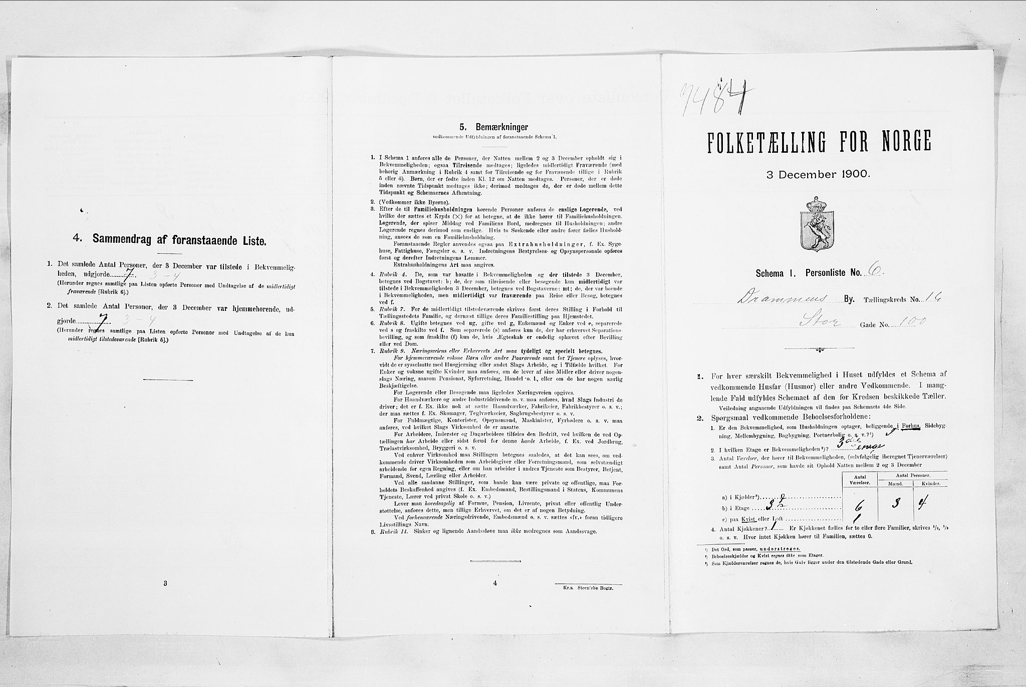 RA, 1900 census for Drammen, 1900, p. 3009