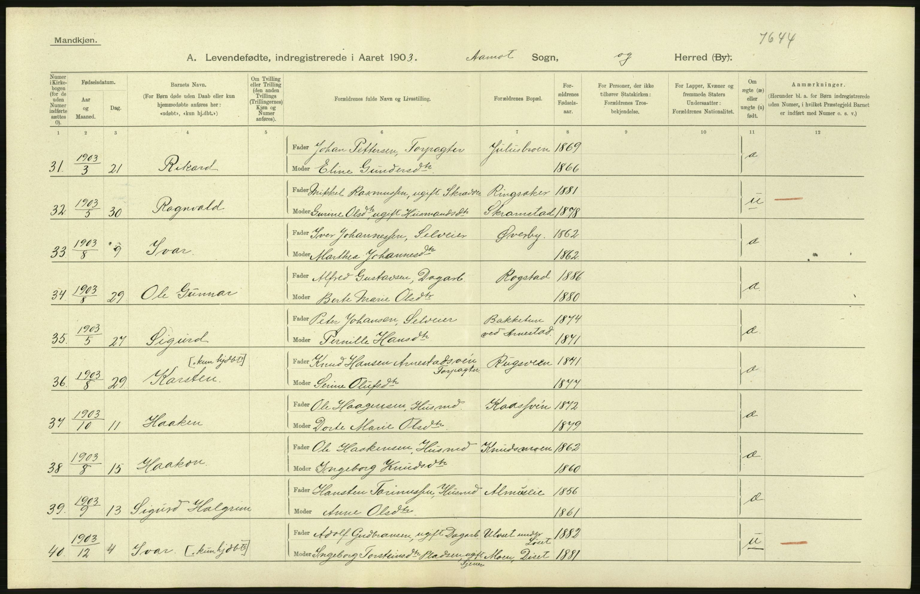 Statistisk sentralbyrå, Sosiodemografiske emner, Befolkning, AV/RA-S-2228/D/Df/Dfa/Dfaa/L0005: Hedemarkens amt: Fødte, gifte, døde, 1903, p. 438