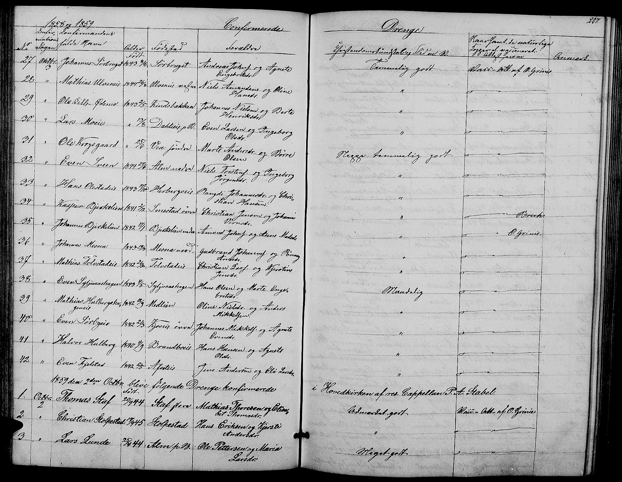 Ringsaker prestekontor, AV/SAH-PREST-014/L/La/L0006: Parish register (copy) no. 6, 1851-1860, p. 207