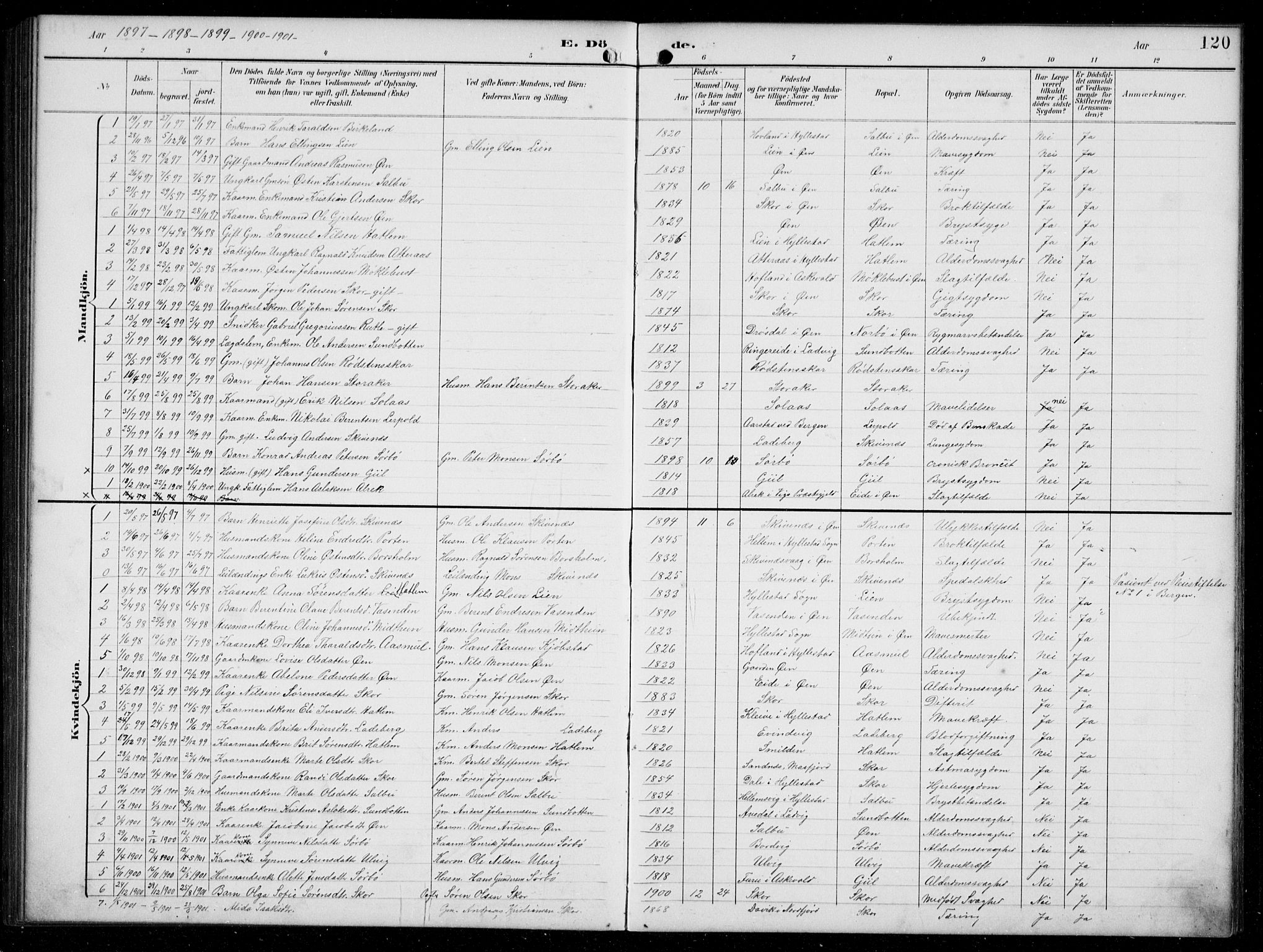 Hyllestad sokneprestembete, SAB/A-80401: Parish register (copy) no. C 3, 1894-1913, p. 120
