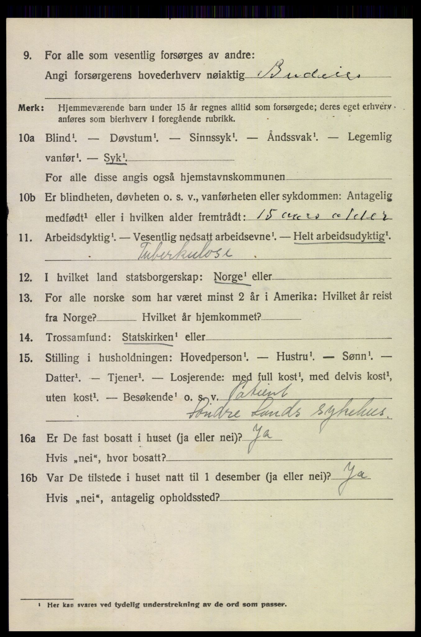 SAH, 1920 census for Søndre Land, 1920, p. 4262