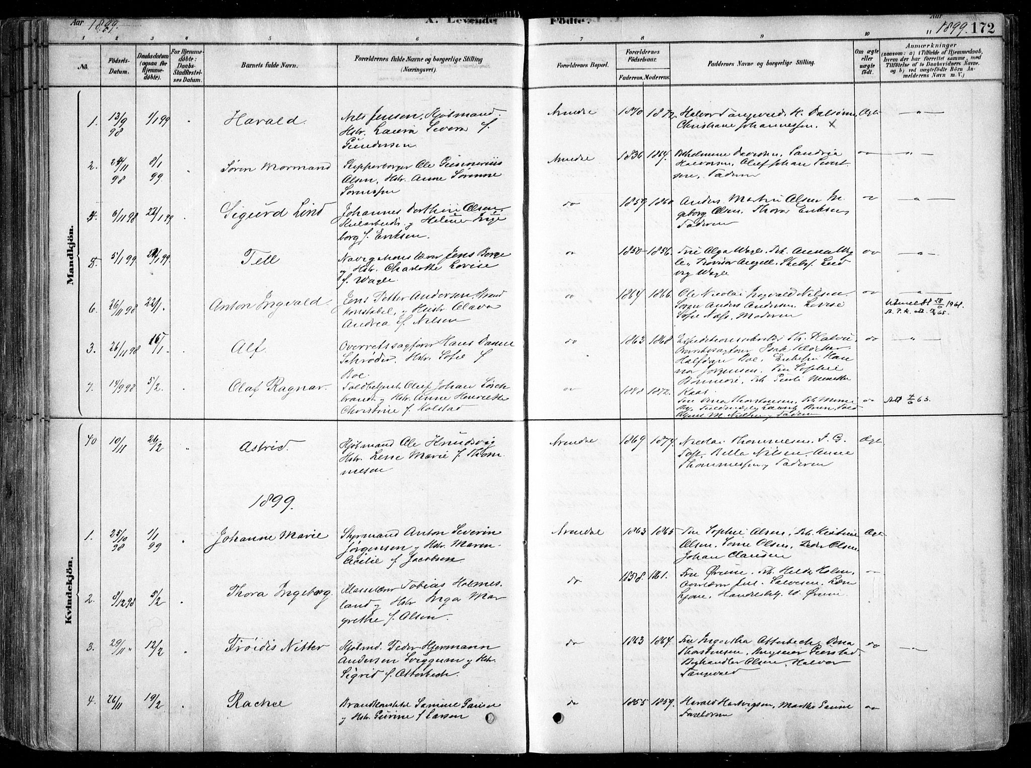 Arendal sokneprestkontor, Trefoldighet, AV/SAK-1111-0040/F/Fa/L0008: Parish register (official) no. A 8, 1878-1899, p. 172