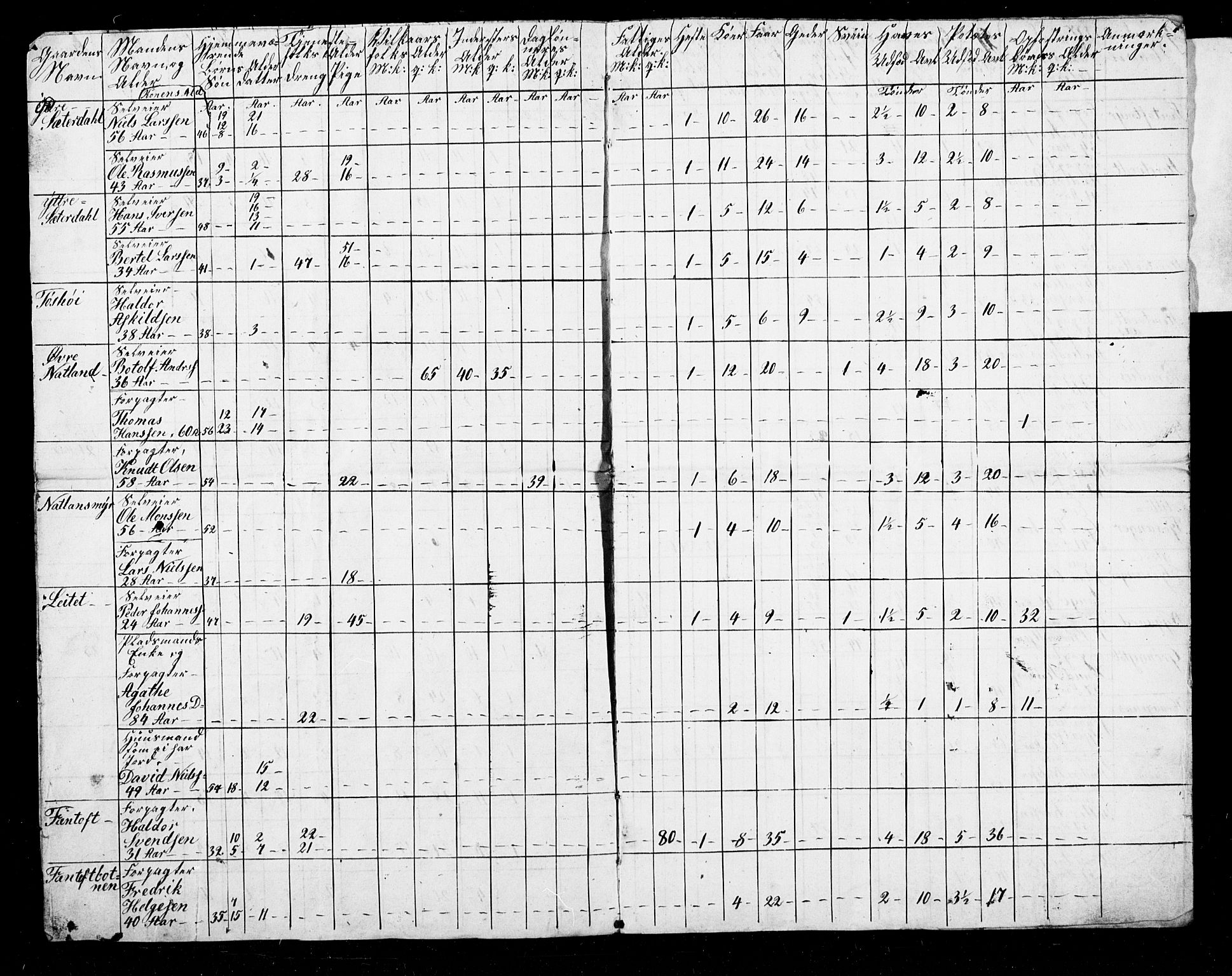 , Census 1845 for Fana, 1845, p. 4