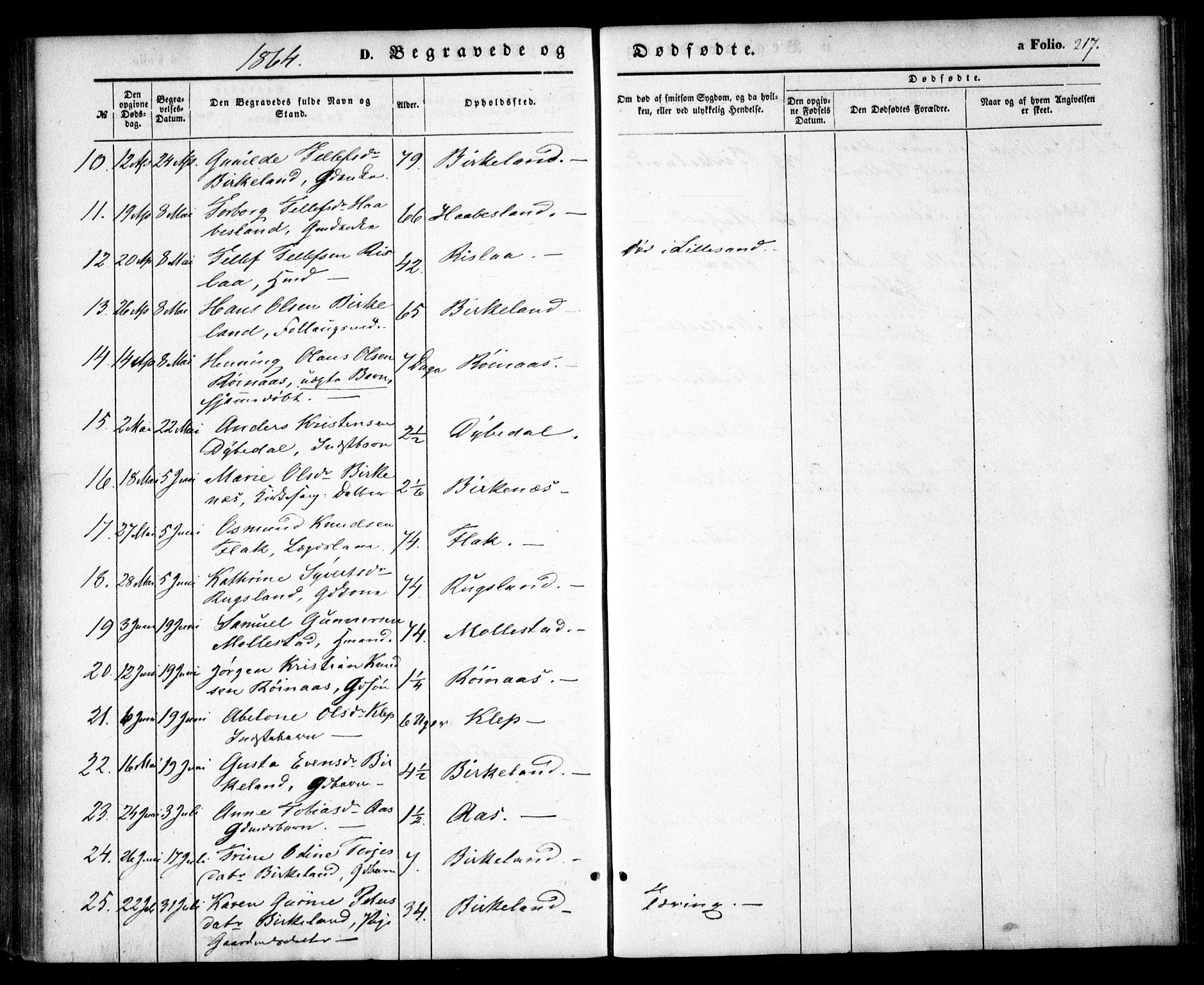 Birkenes sokneprestkontor, AV/SAK-1111-0004/F/Fa/L0003: Parish register (official) no. A 3, 1850-1866, p. 217