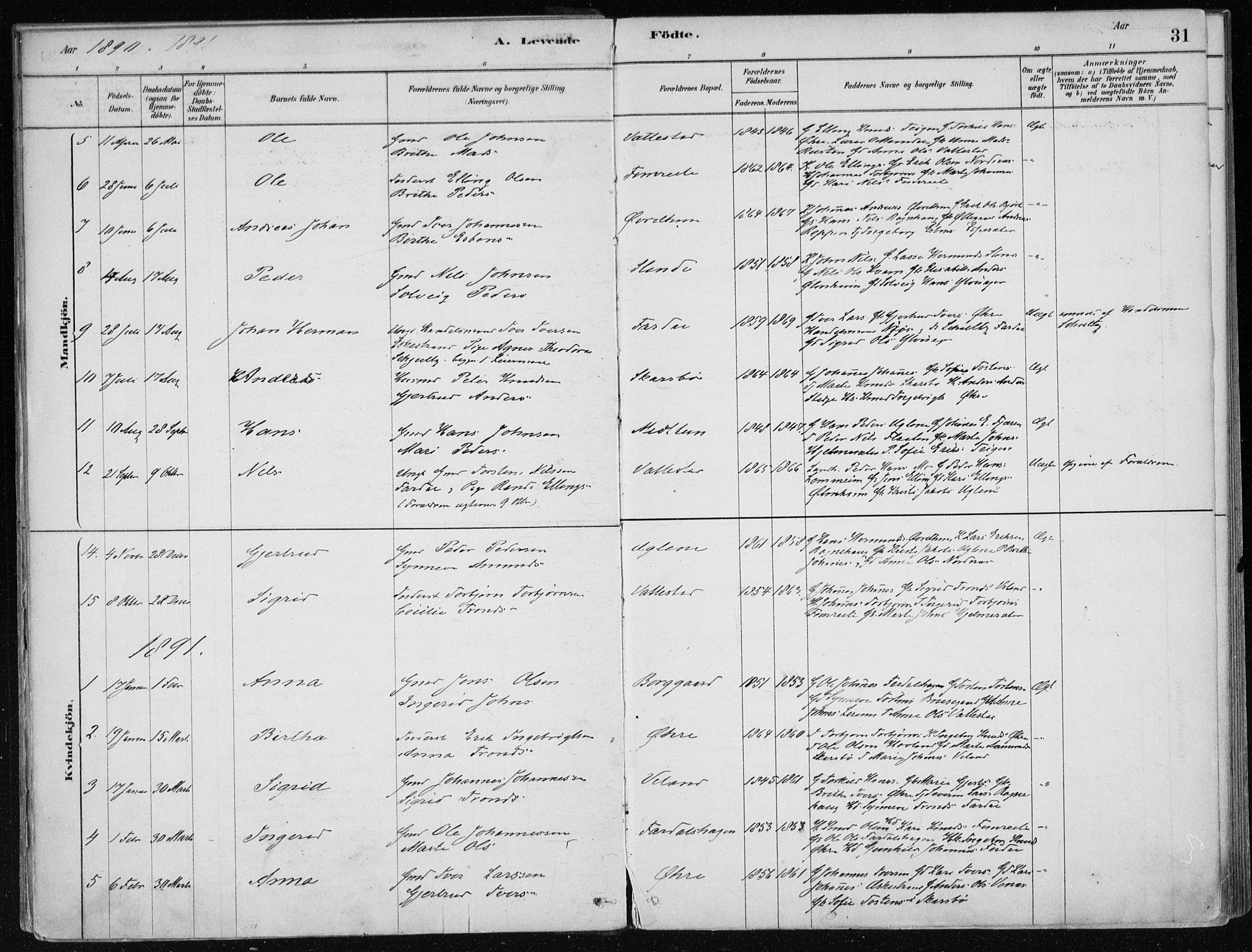 Sogndal sokneprestembete, SAB/A-81301/H/Haa/Haac/L0001: Parish register (official) no. C 1, 1878-1907, p. 31