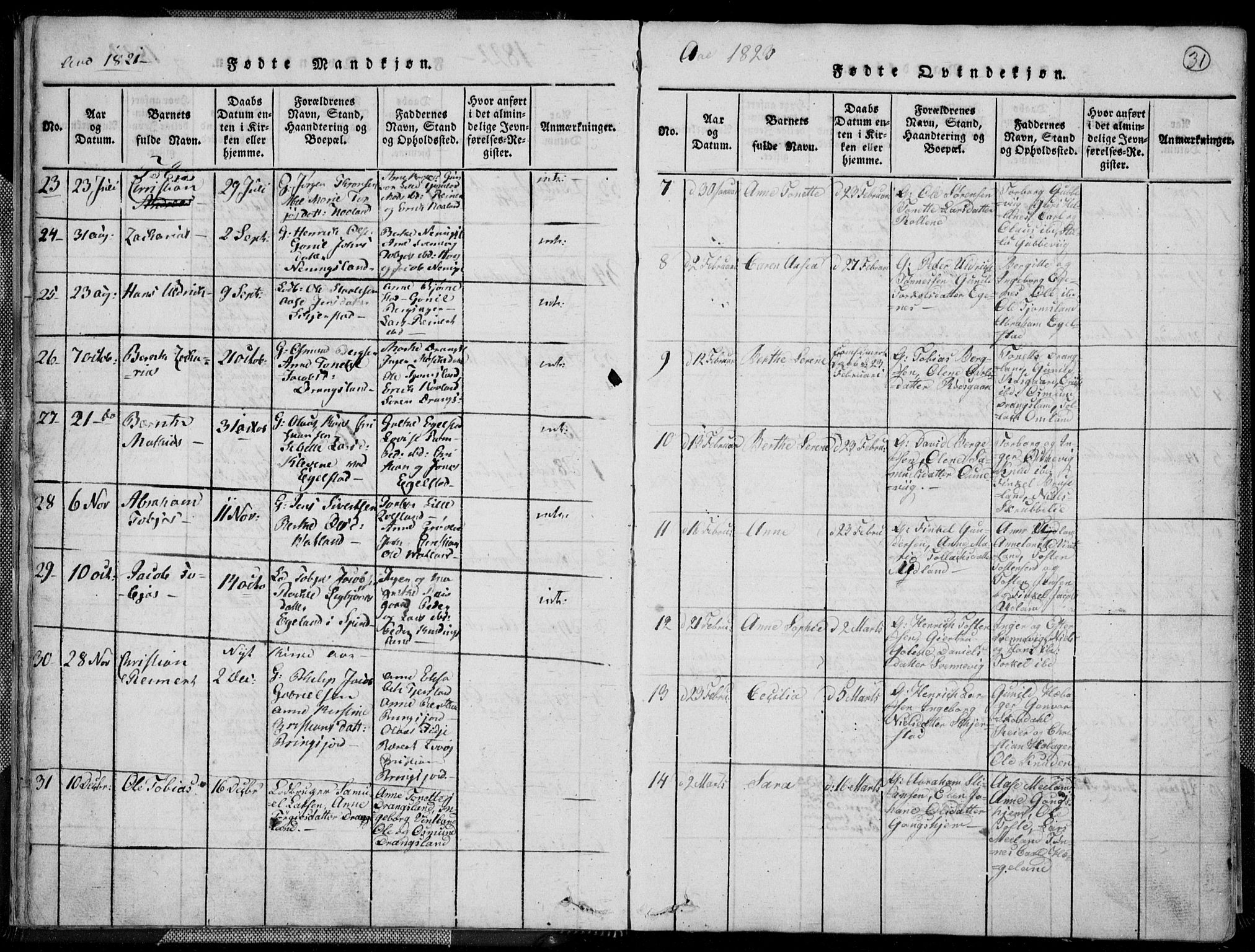 Lyngdal sokneprestkontor, AV/SAK-1111-0029/F/Fa/Fac/L0006: Parish register (official) no. A 6, 1815-1825, p. 31