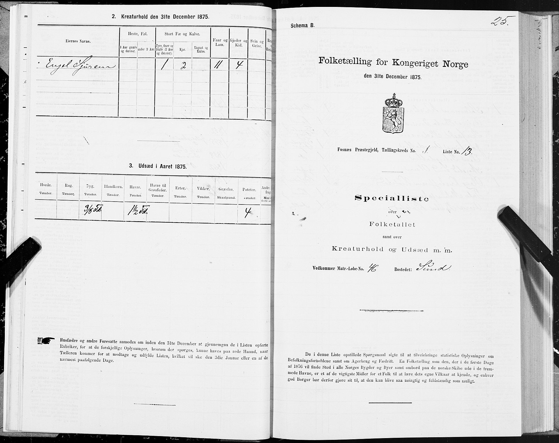 SAT, 1875 census for 1748P Fosnes, 1875, p. 3025