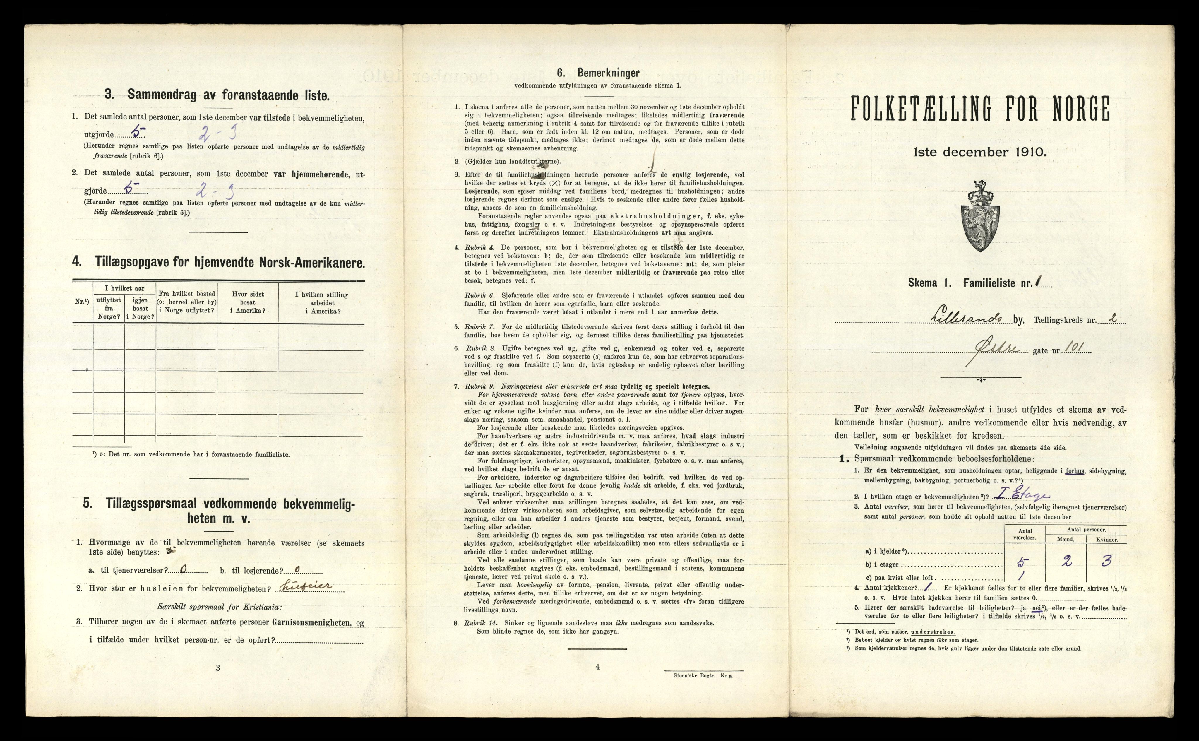 RA, 1910 census for Lillesand, 1910, p. 494