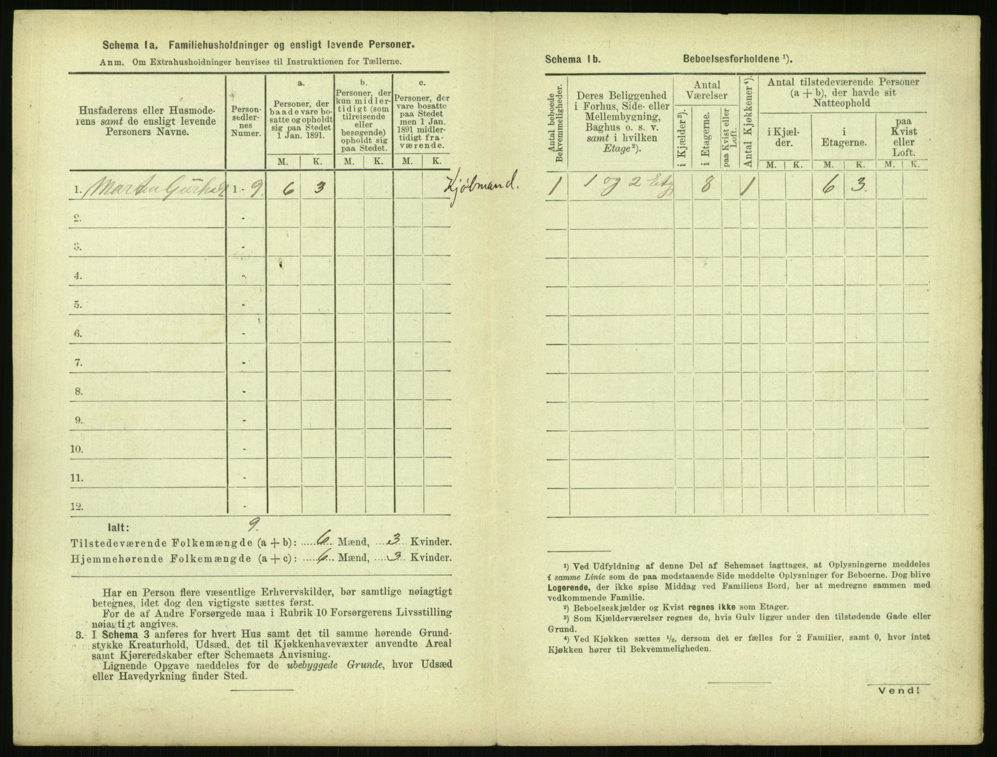 RA, 1891 census for 0806 Skien, 1891, p. 309