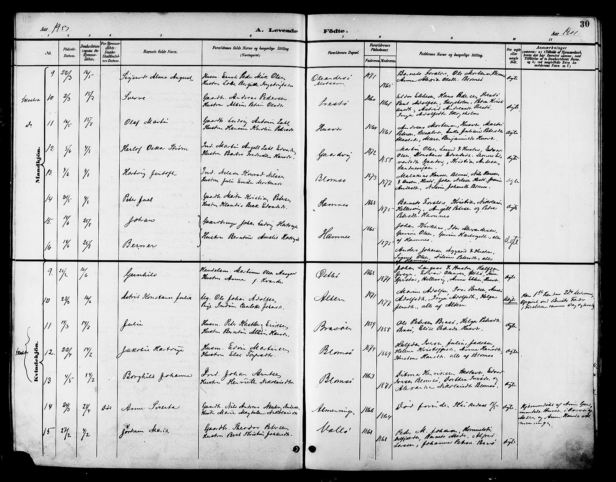 Ministerialprotokoller, klokkerbøker og fødselsregistre - Nordland, AV/SAT-A-1459/830/L0463: Parish register (copy) no. 830C05, 1895-1906, p. 30