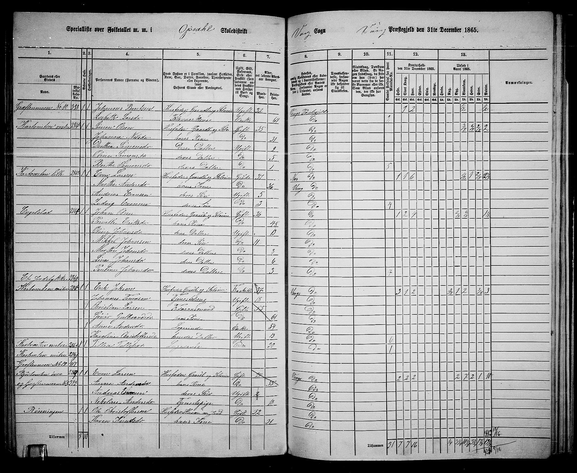 RA, 1865 census for Vang/Vang og Furnes, 1865, p. 290