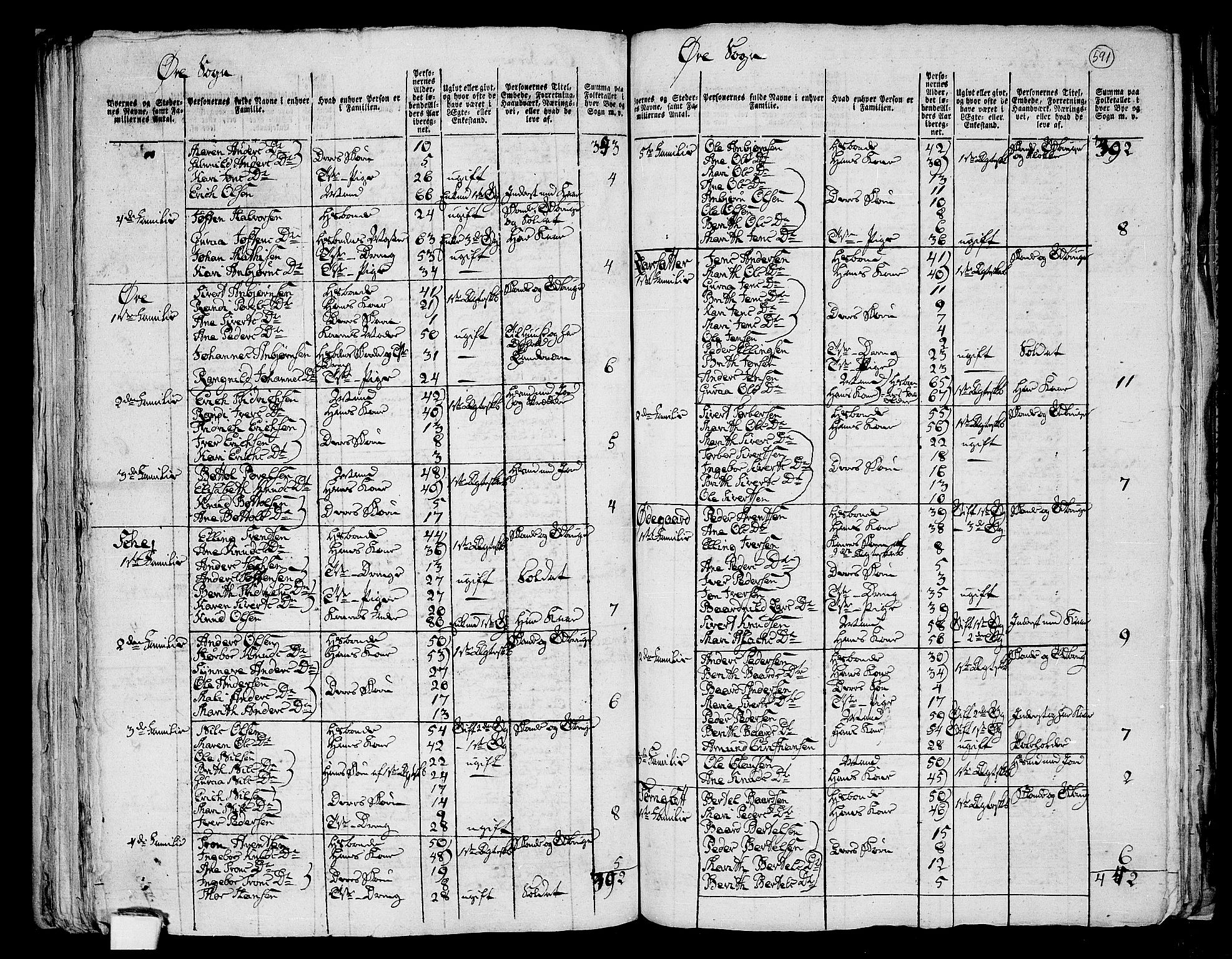 RA, 1801 census for 1560P Tingvoll, 1801, p. 590b-591a