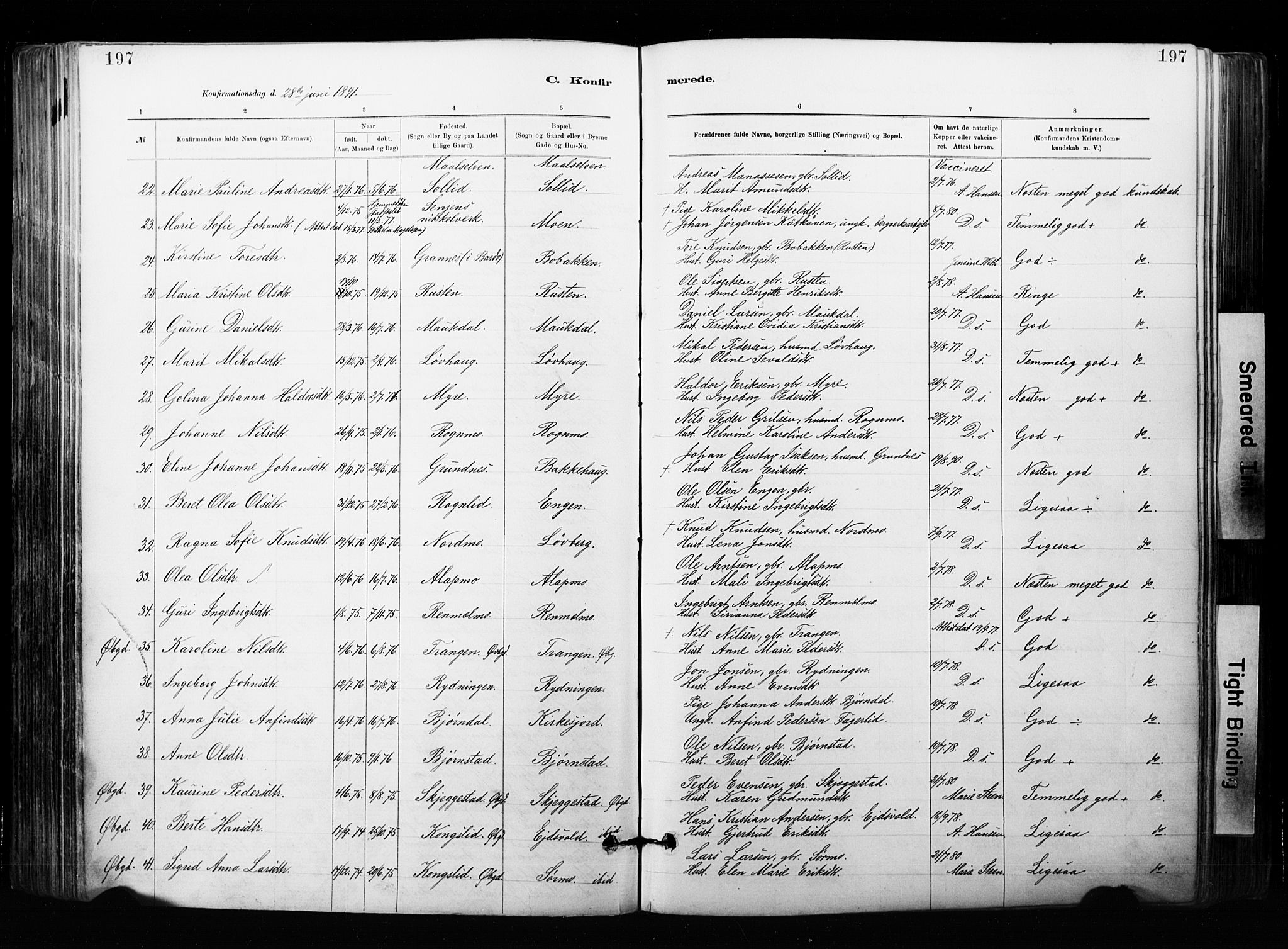 Målselv sokneprestembete, SATØ/S-1311/G/Ga/Gaa/L0007kirke: Parish register (official) no. 7, 1884-1903, p. 197