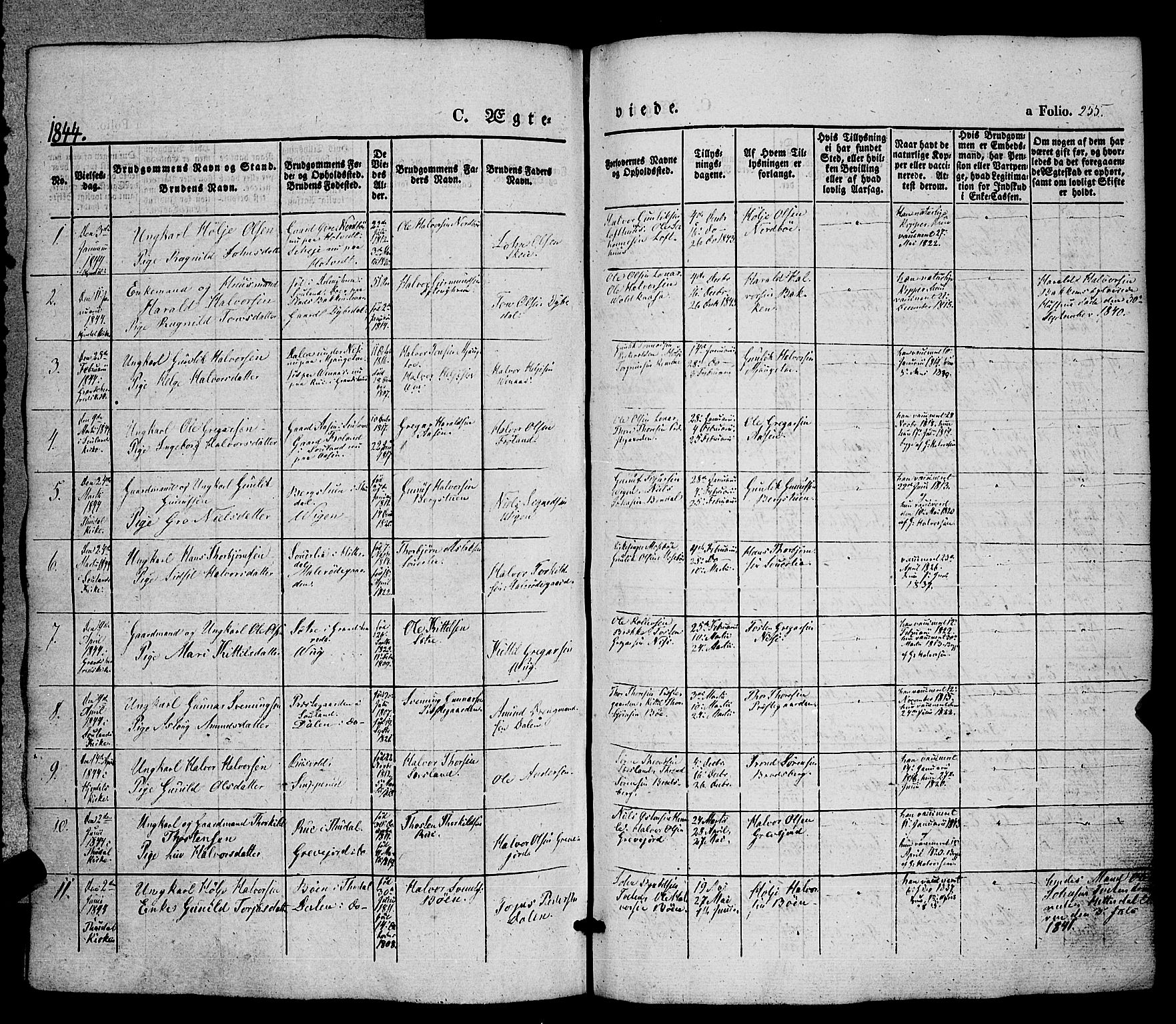 Hjartdal kirkebøker, SAKO/A-270/F/Fa/L0008: Parish register (official) no. I 8, 1844-1859, p. 255