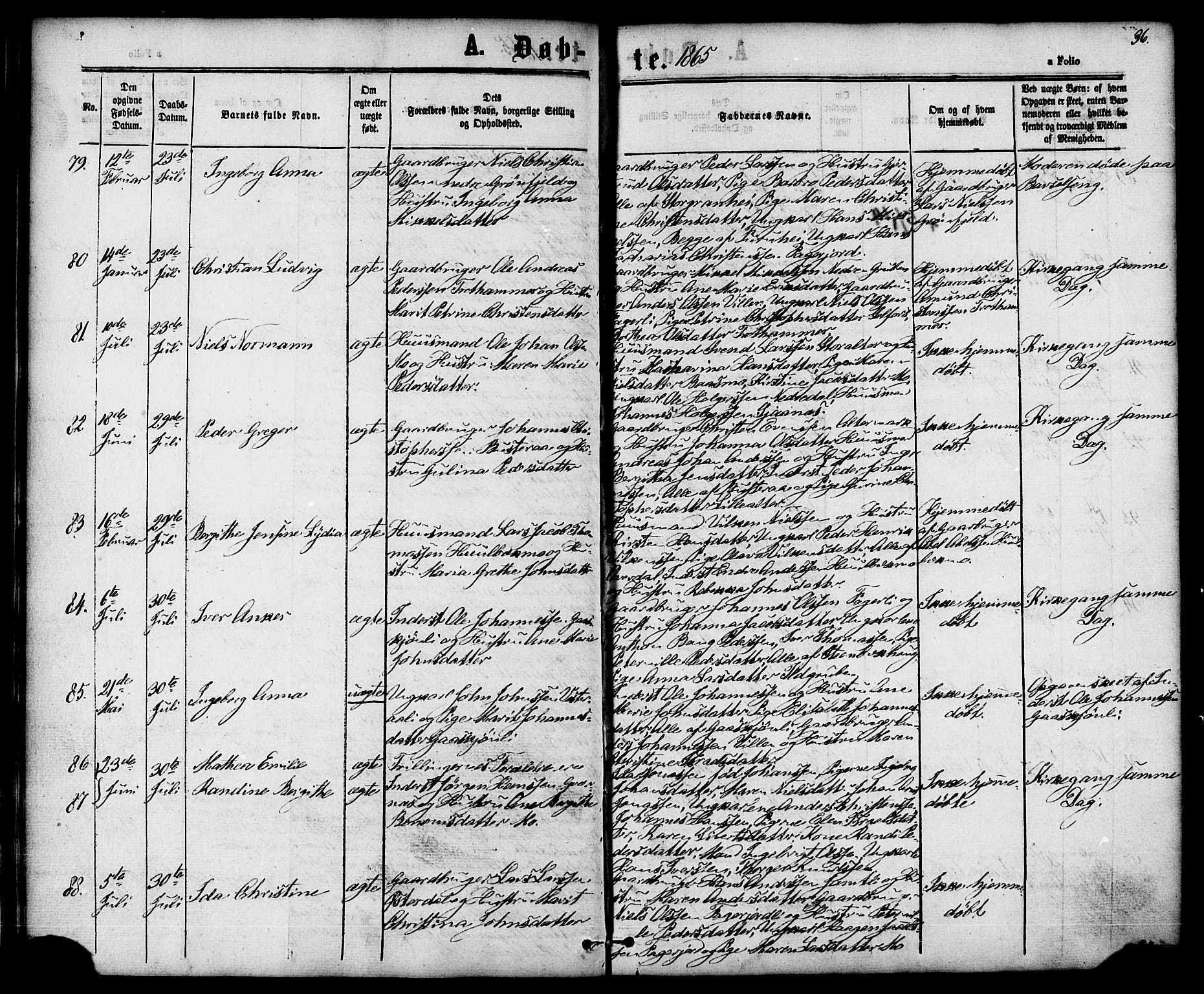 Ministerialprotokoller, klokkerbøker og fødselsregistre - Nordland, AV/SAT-A-1459/827/L0393: Parish register (official) no. 827A05, 1863-1883, p. 36