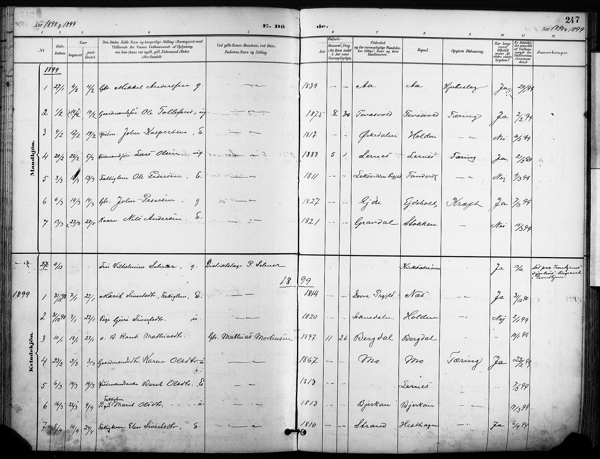 Ministerialprotokoller, klokkerbøker og fødselsregistre - Sør-Trøndelag, SAT/A-1456/630/L0497: Parish register (official) no. 630A10, 1896-1910, p. 247