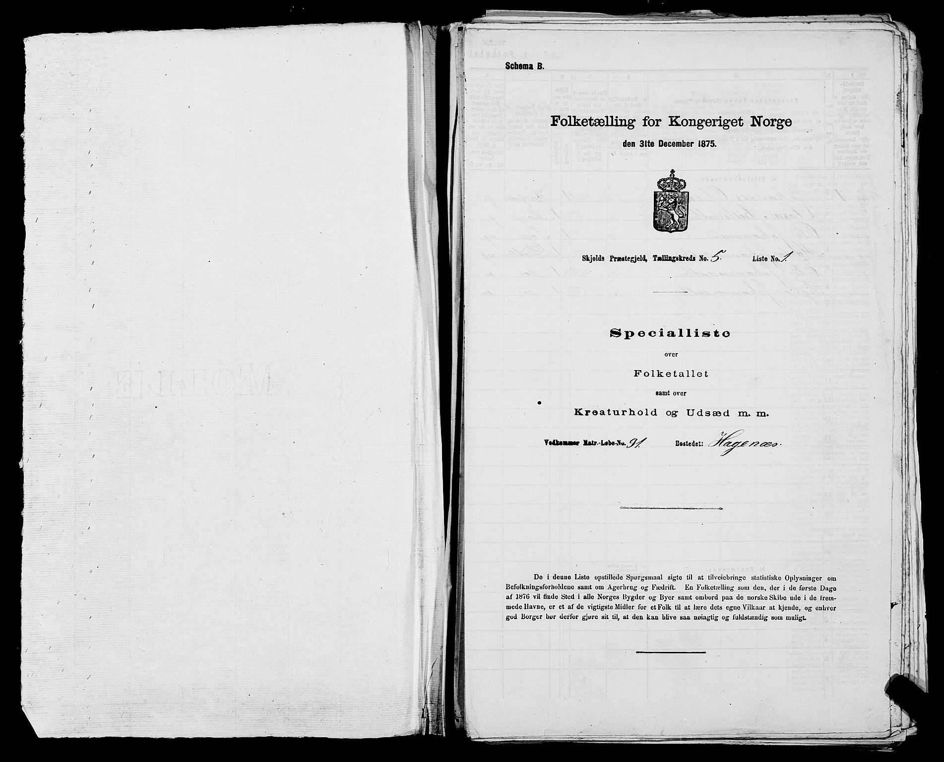 SAST, 1875 census for 1154P Skjold, 1875, p. 385