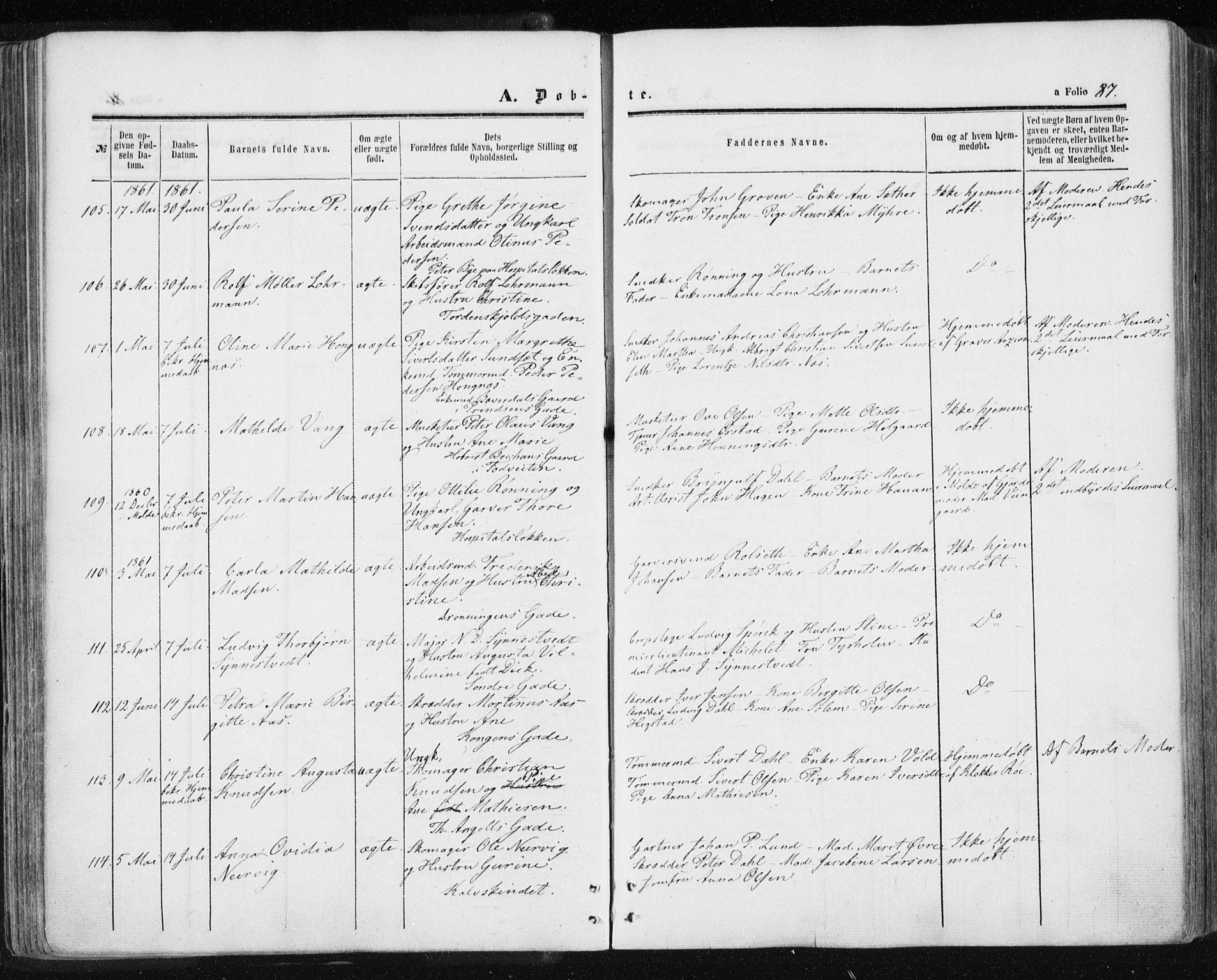 Ministerialprotokoller, klokkerbøker og fødselsregistre - Sør-Trøndelag, AV/SAT-A-1456/601/L0053: Parish register (official) no. 601A21, 1857-1865, p. 87