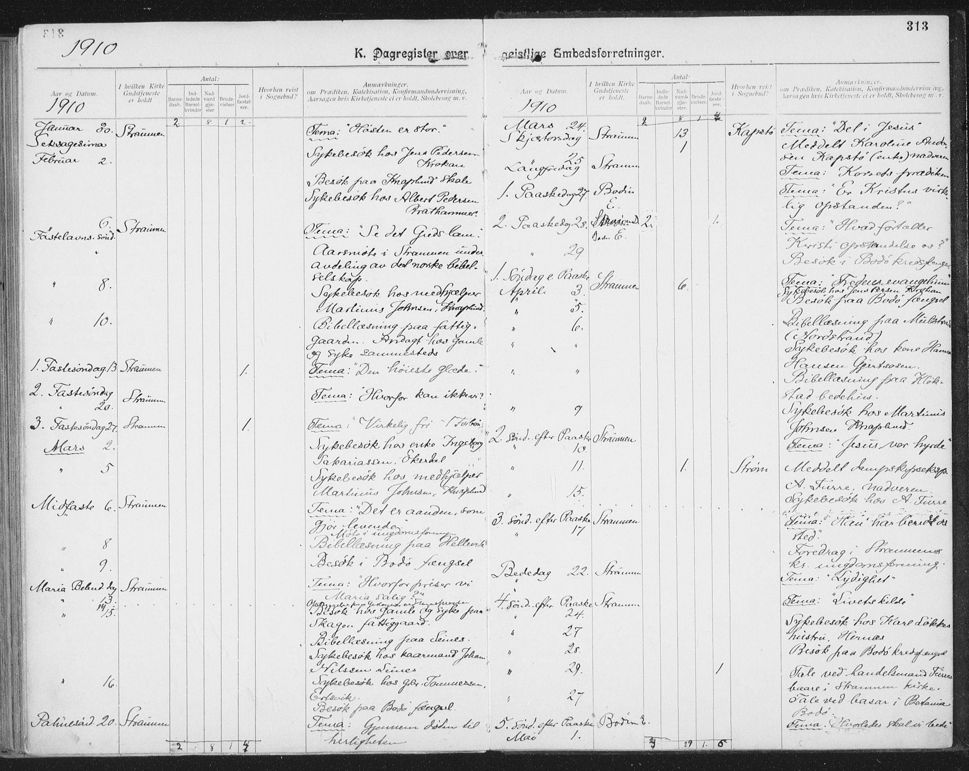 Ministerialprotokoller, klokkerbøker og fødselsregistre - Nordland, SAT/A-1459/804/L0081: Parish register (official) no. 804A02, 1901-1915, p. 313