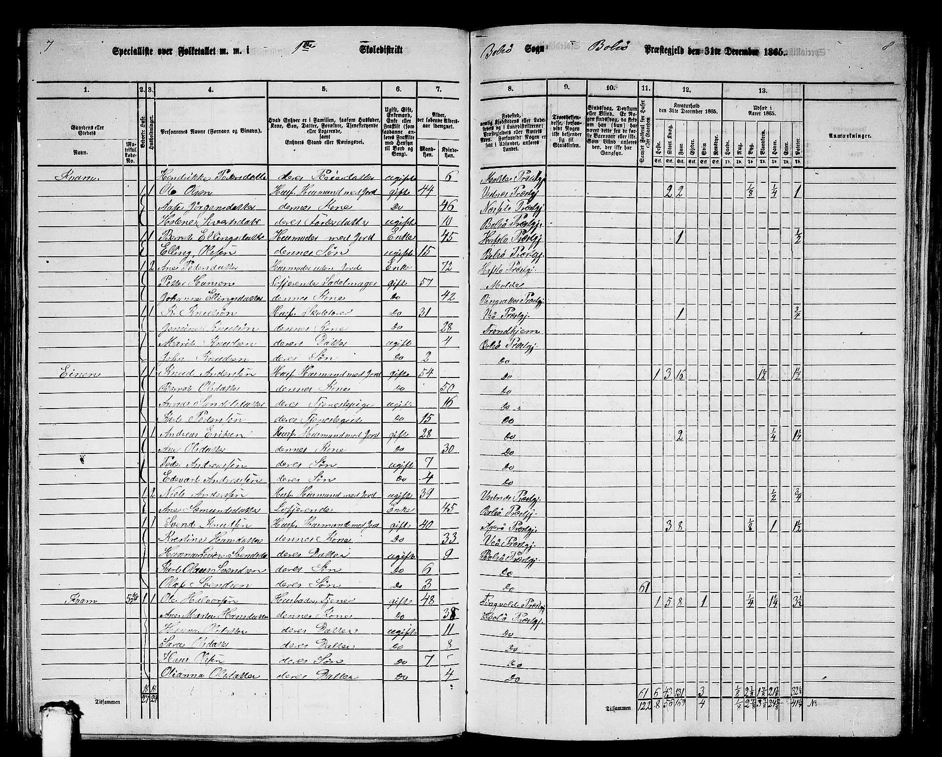 RA, 1865 census for Bolsøy, 1865, p. 11