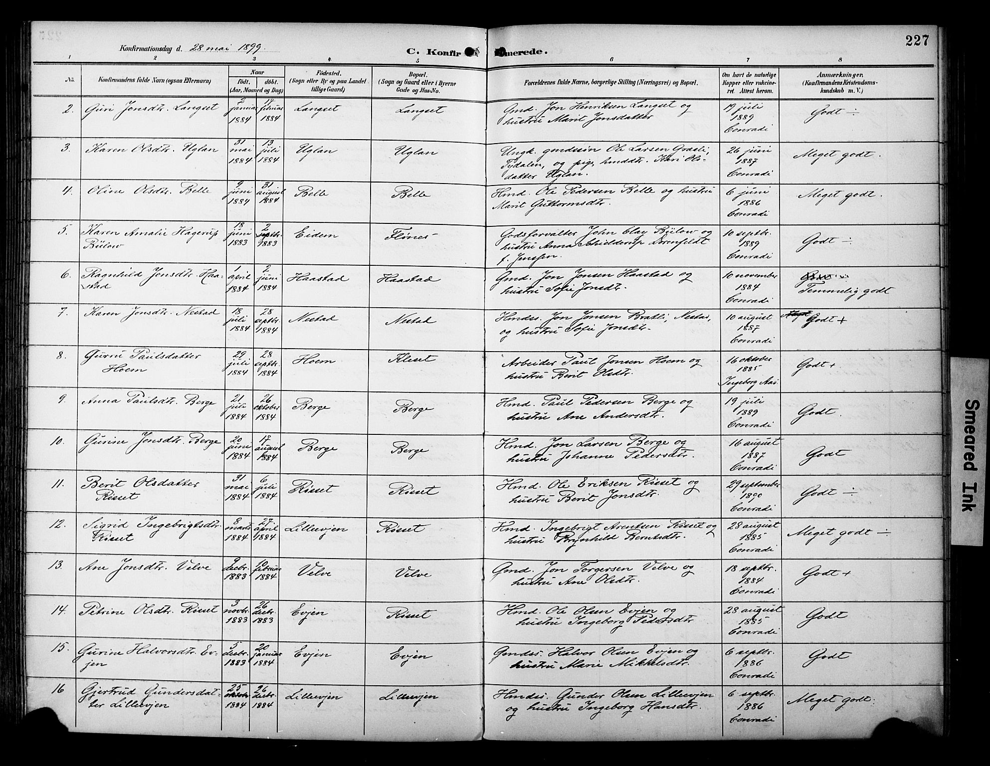 Ministerialprotokoller, klokkerbøker og fødselsregistre - Sør-Trøndelag, AV/SAT-A-1456/695/L1149: Parish register (official) no. 695A09, 1891-1902, p. 227